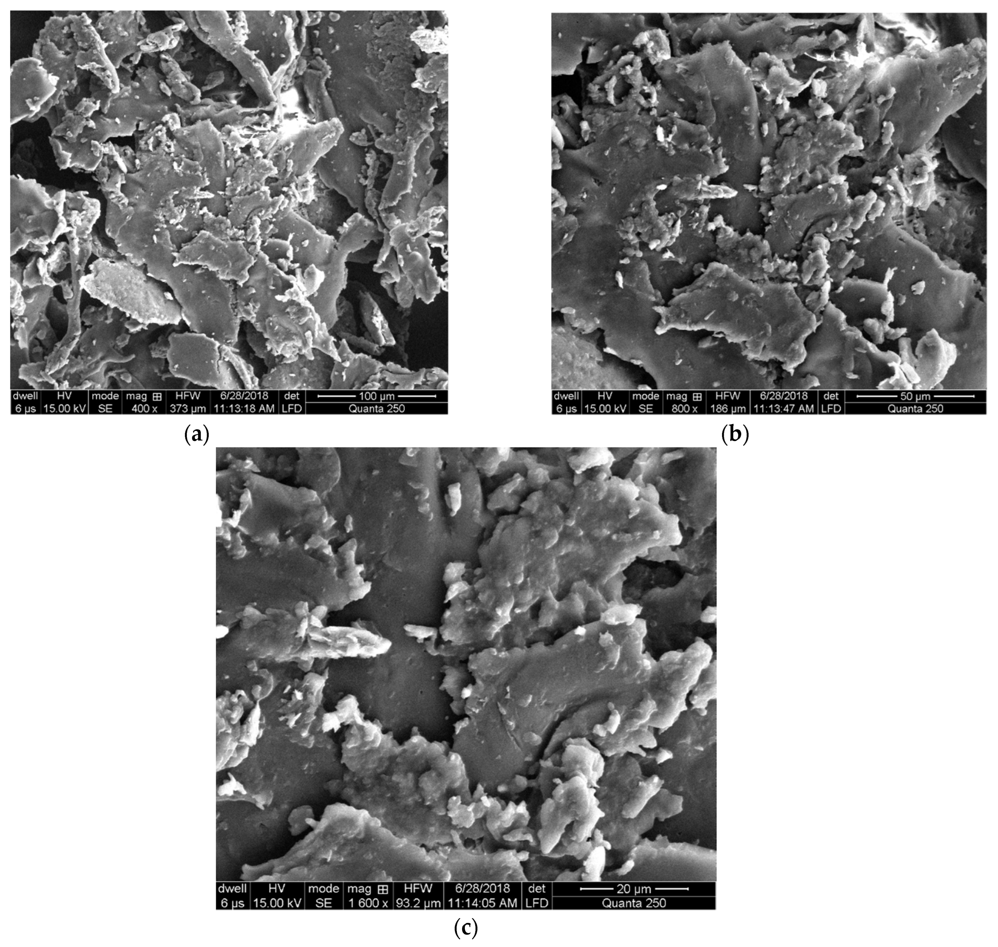 Jfb 13 00268 g007 Jfb 13 00268 g007