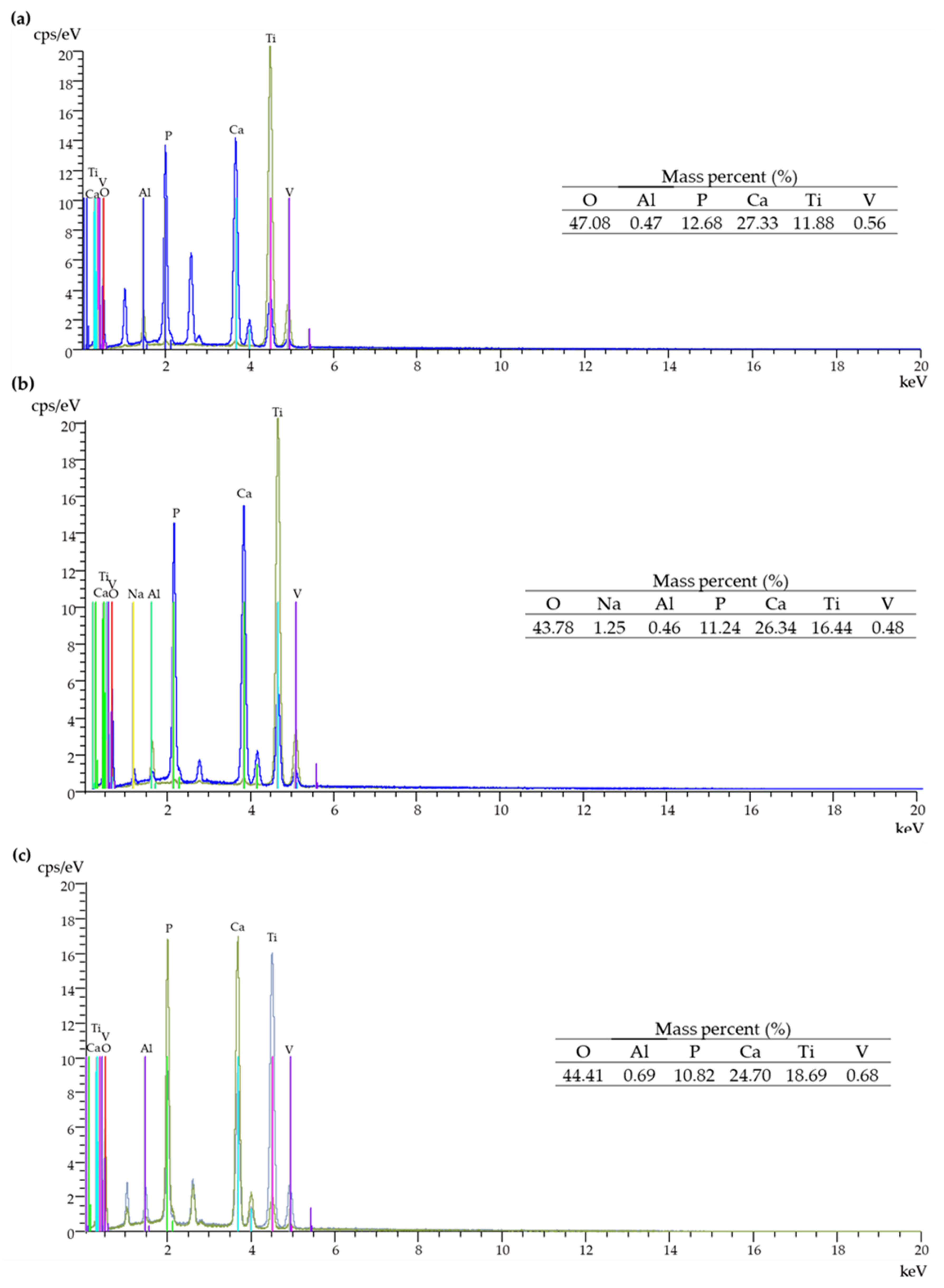 Jfb 13 00271 g003 Jfb 13 00271 g003