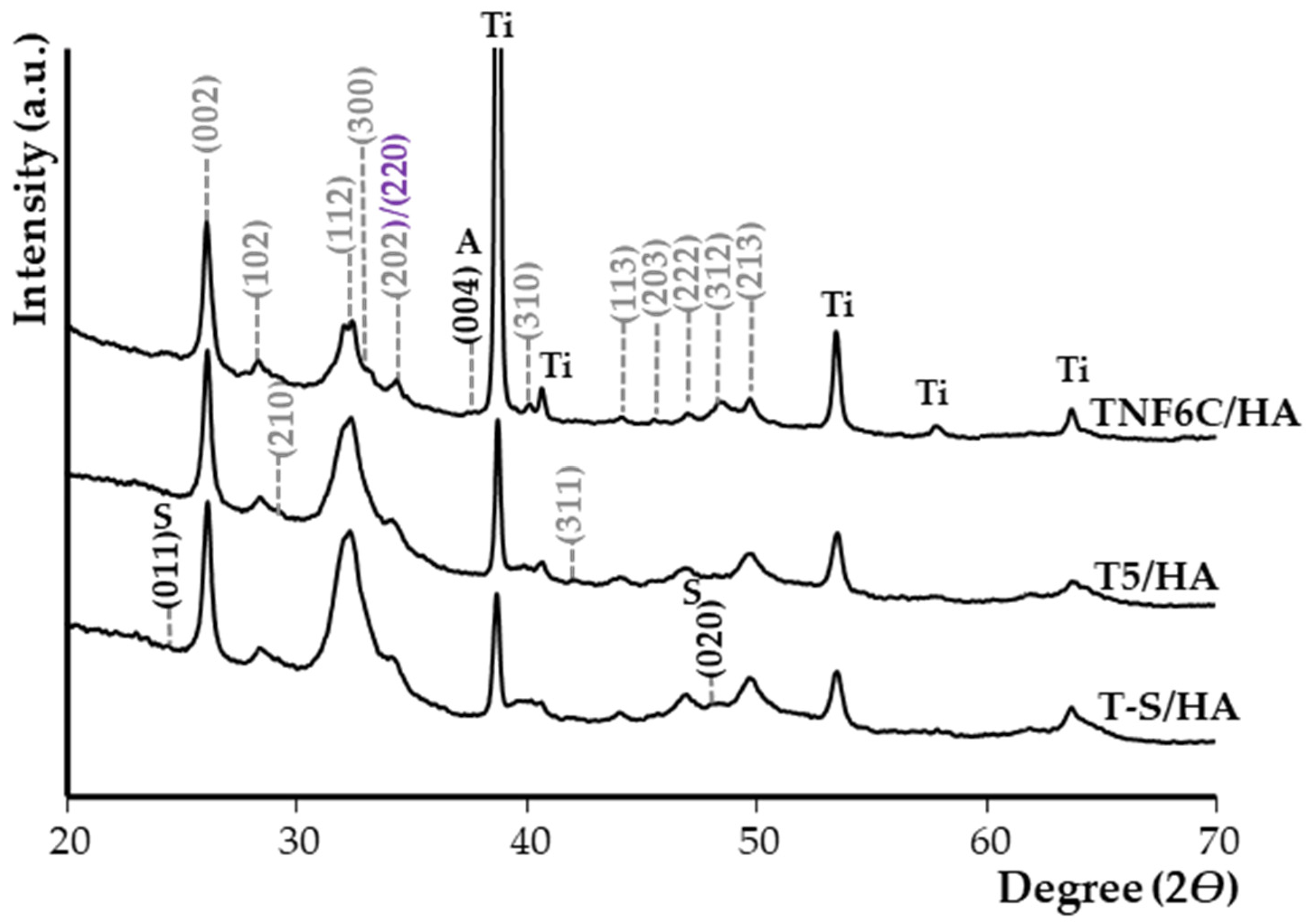 Jfb 13 00271 g006 Jfb 13 00271 g006