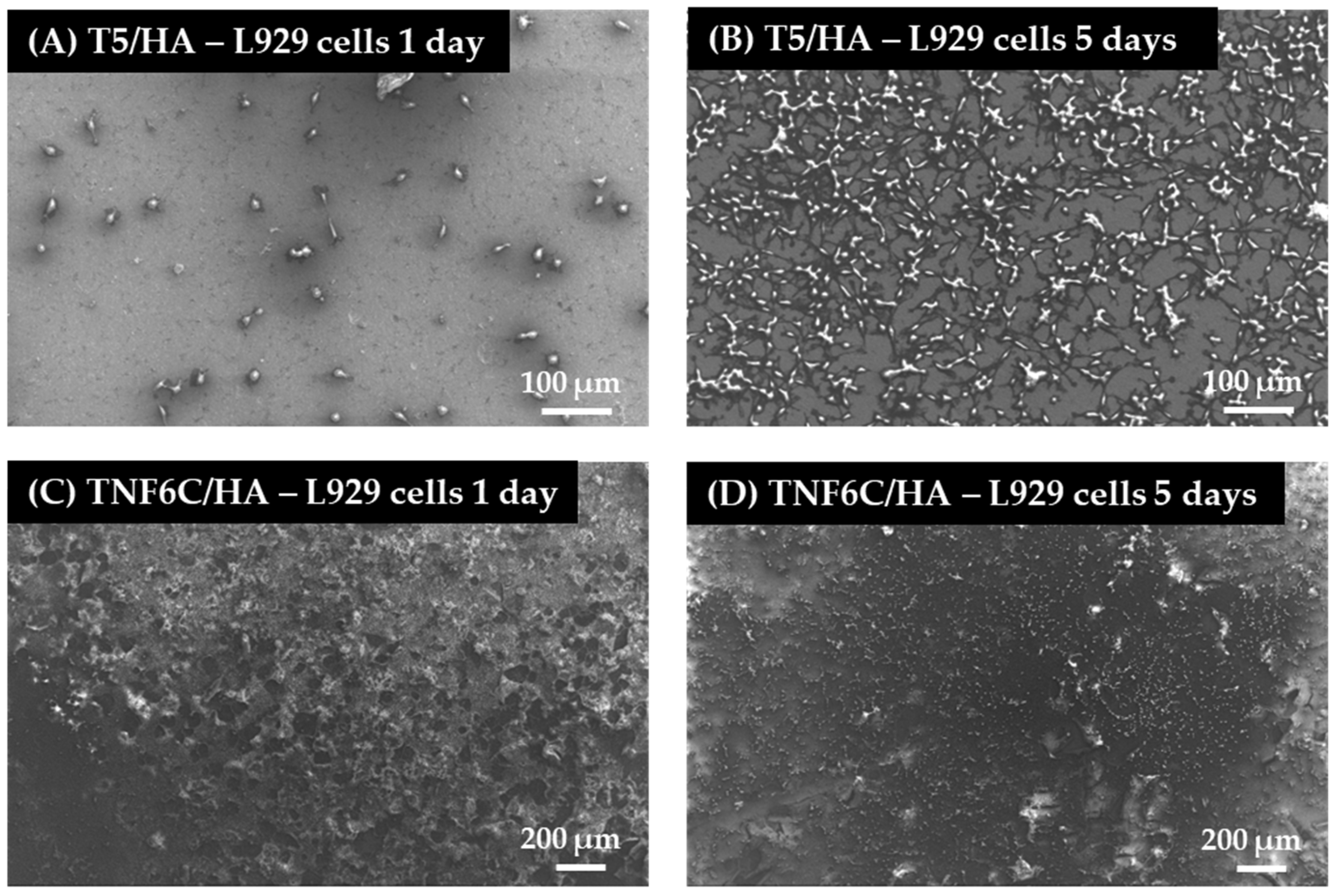 Jfb 13 00271 g008 Jfb 13 00271 g008