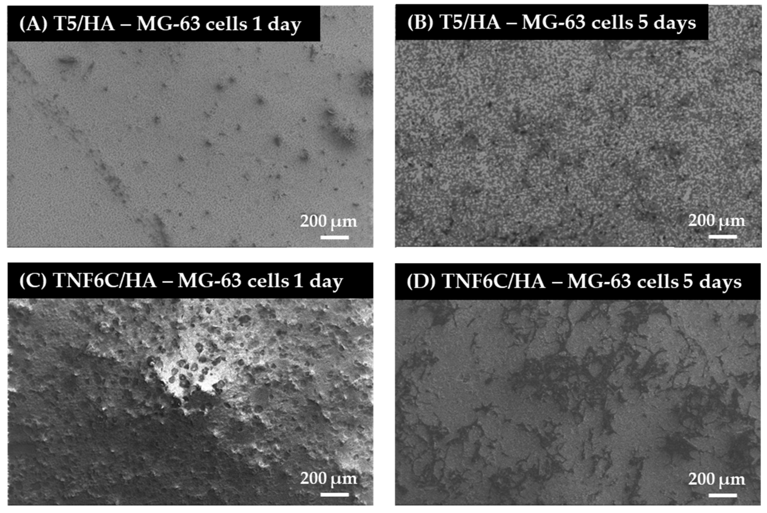 Jfb 13 00271 g009 Jfb 13 00271 g009