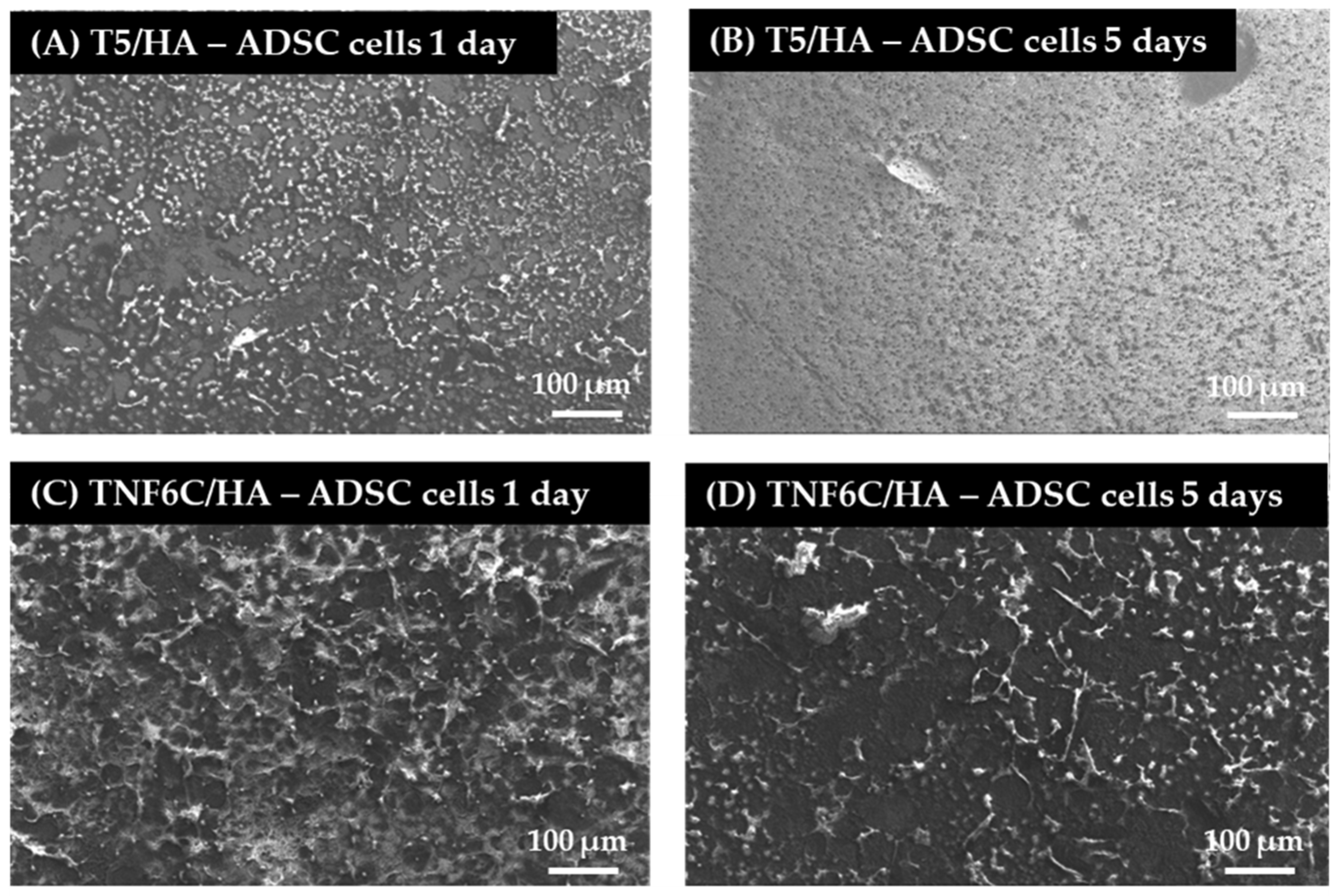 Jfb 13 00271 g010 Jfb 13 00271 g010