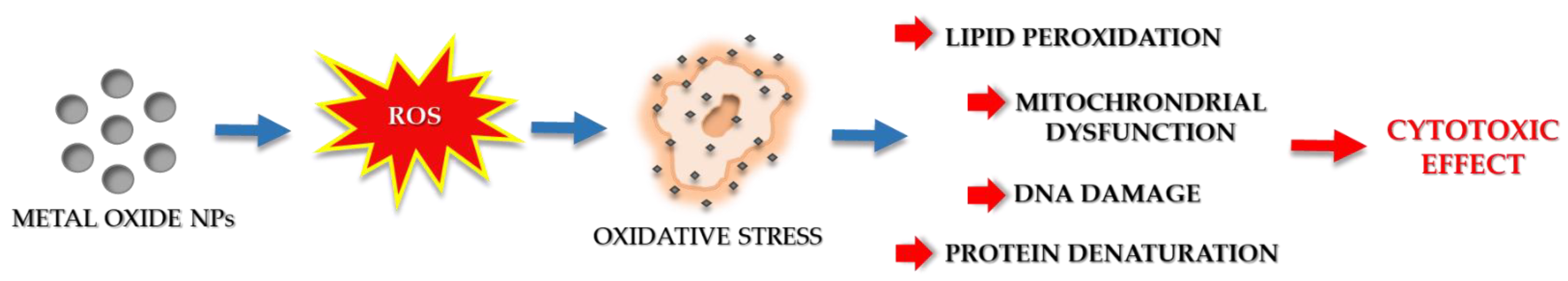 Jfb 13 00274 g007 Jfb 13 00274 g007