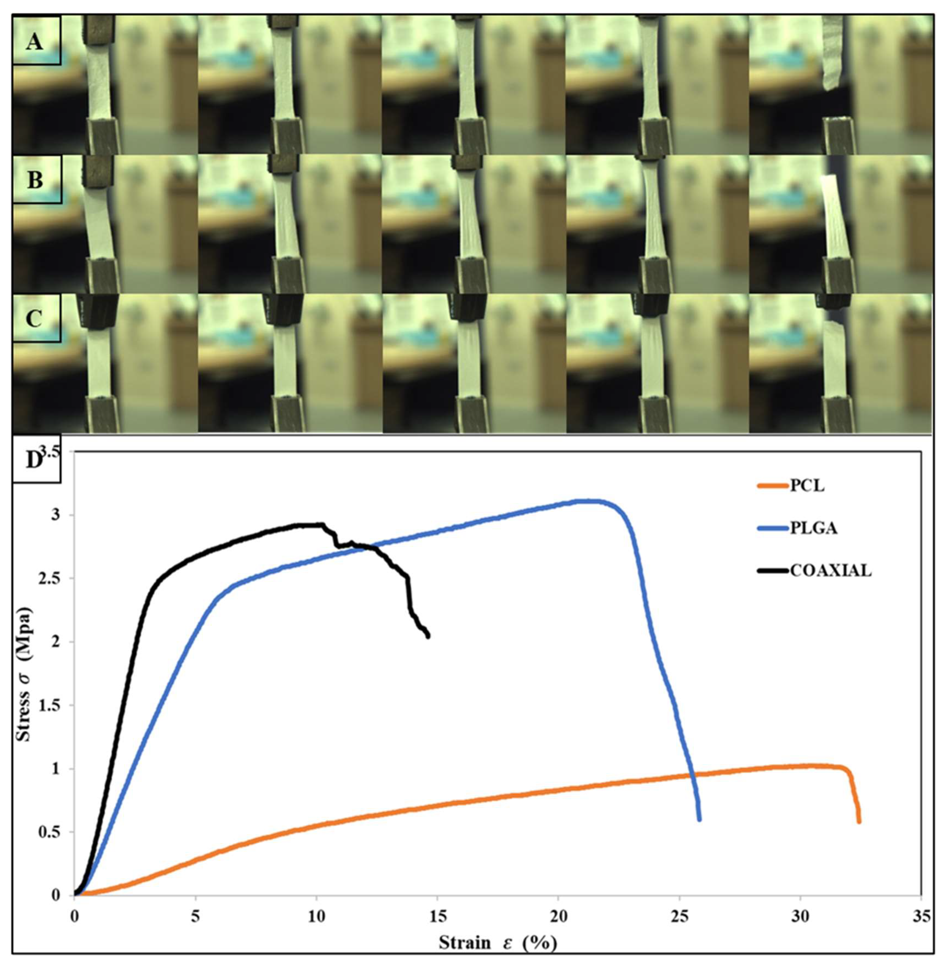Jfb 13 00282 g002 Jfb 13 00282 g002
