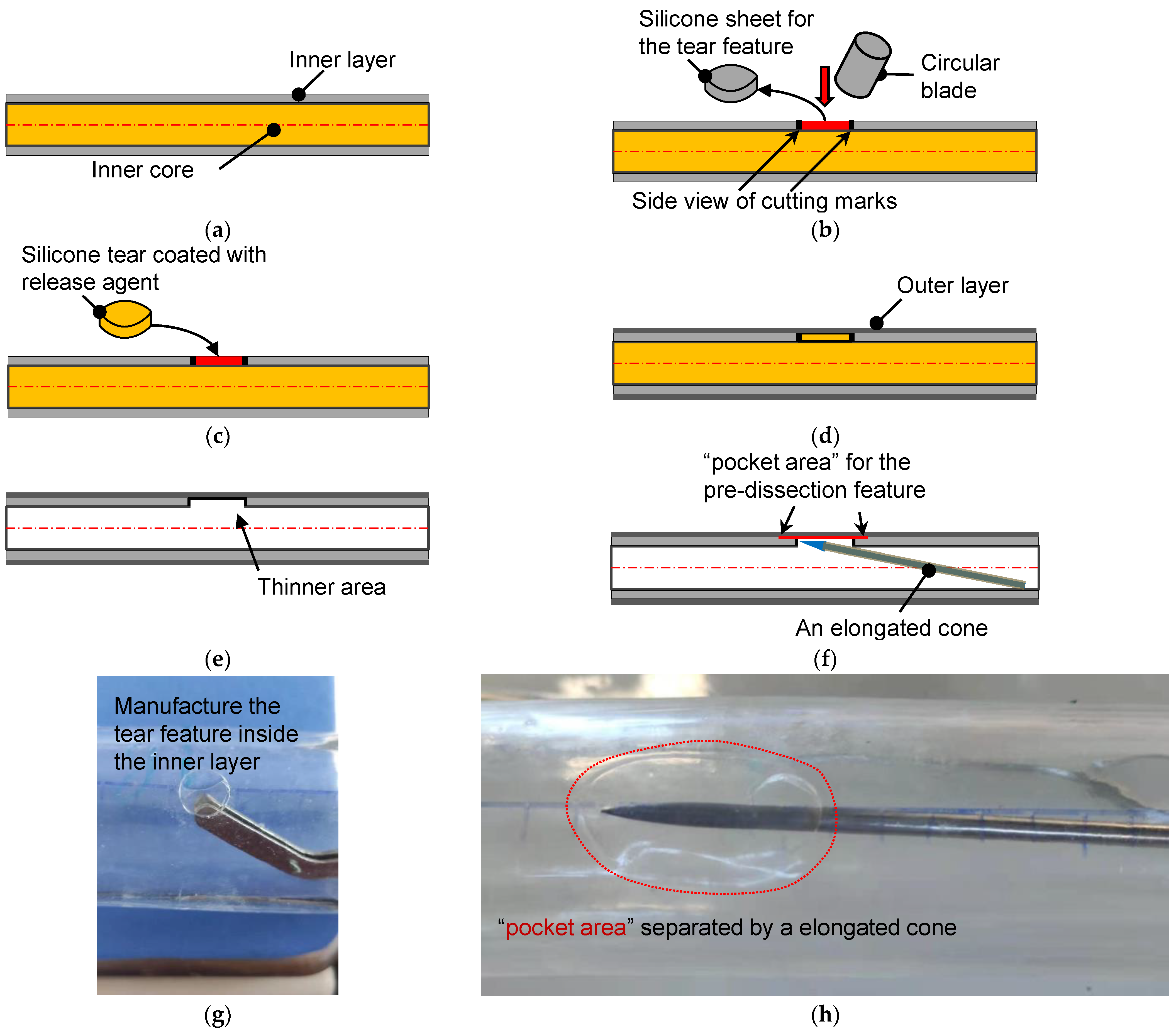 Trousse à dissection  Download Scientific Diagram