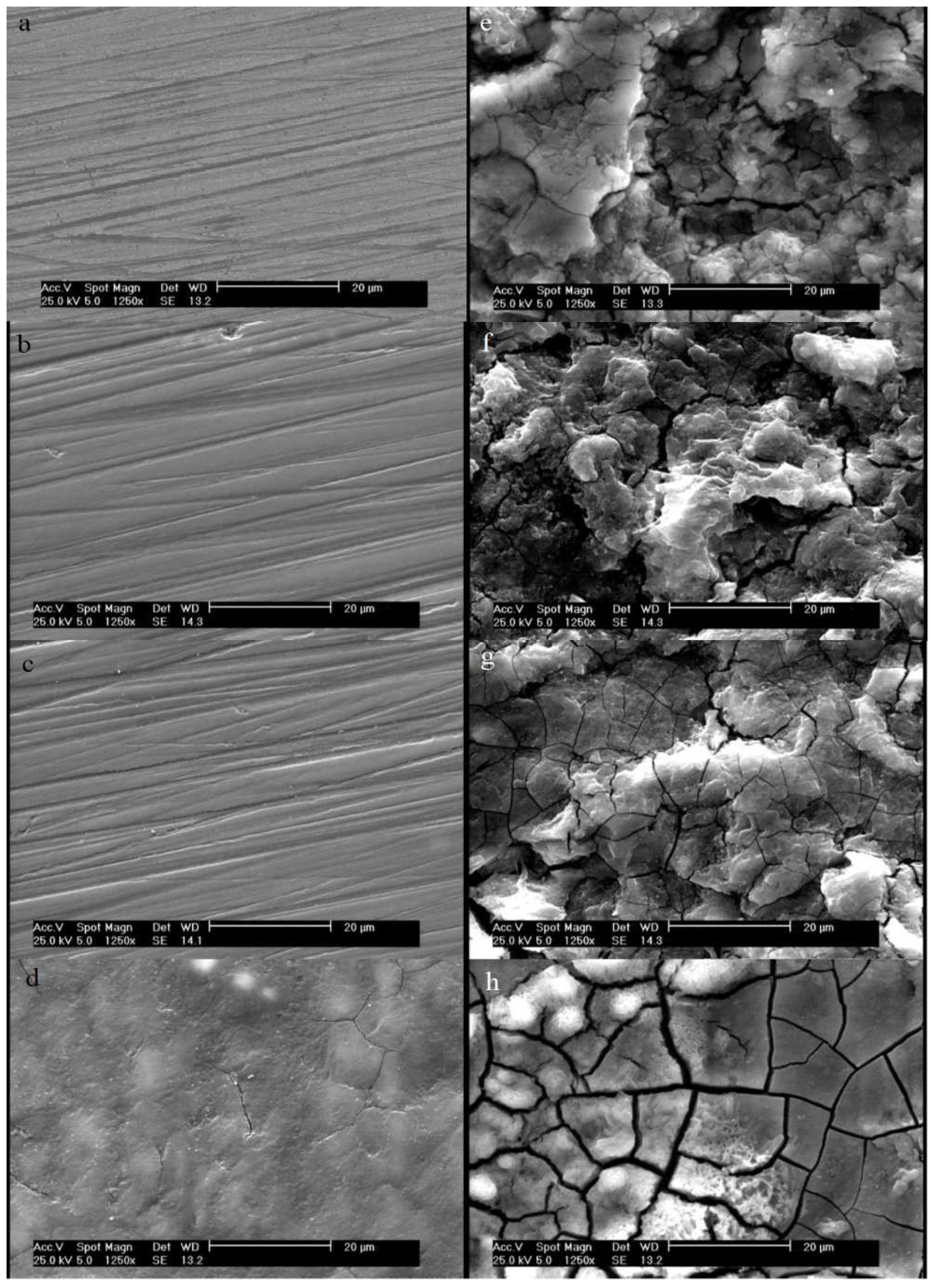 Jfb 13 00296 g007 Jfb 13 00296 g007