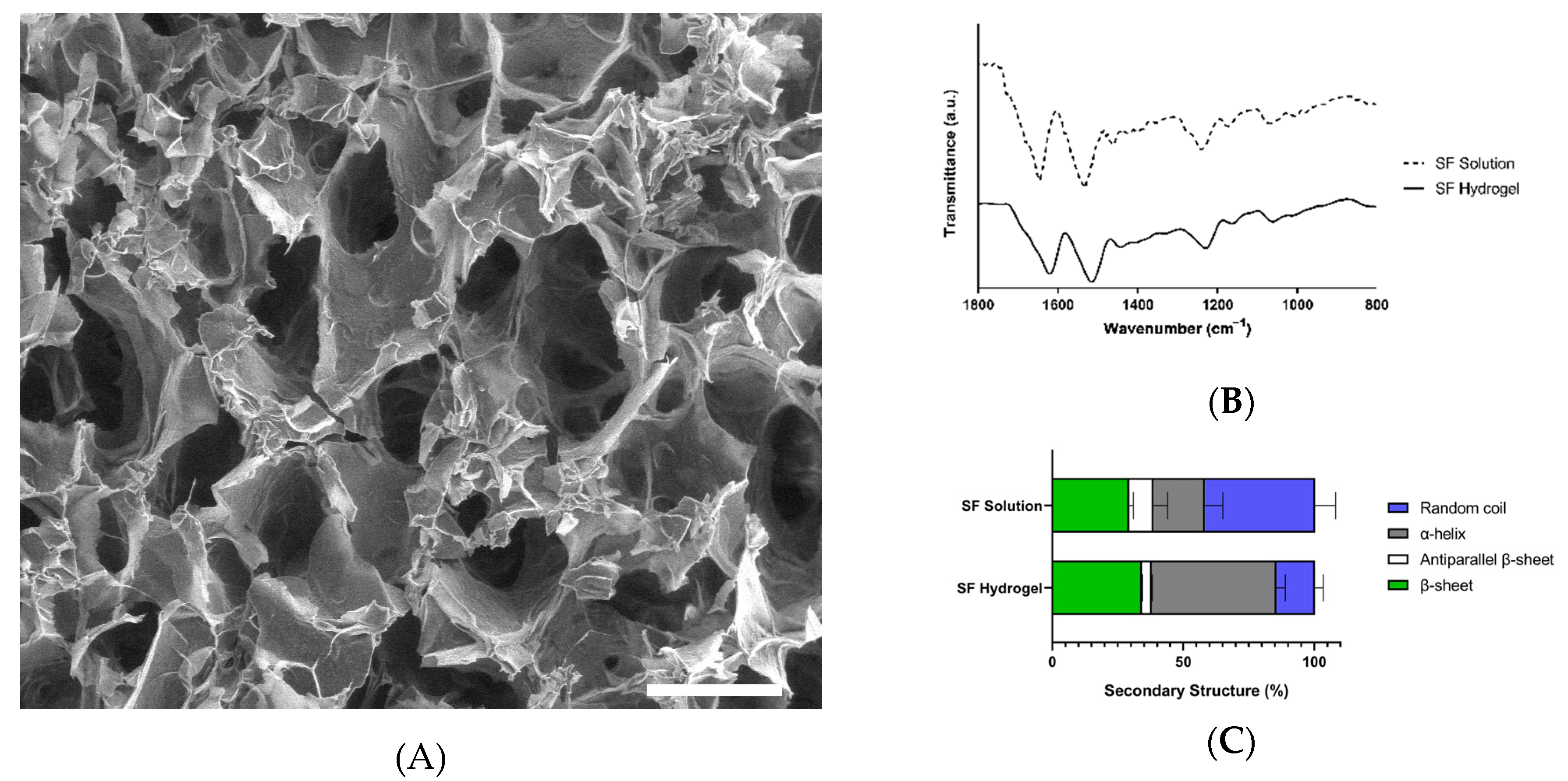 Jfb 13 00297 g002 Jfb 13 00297 g002