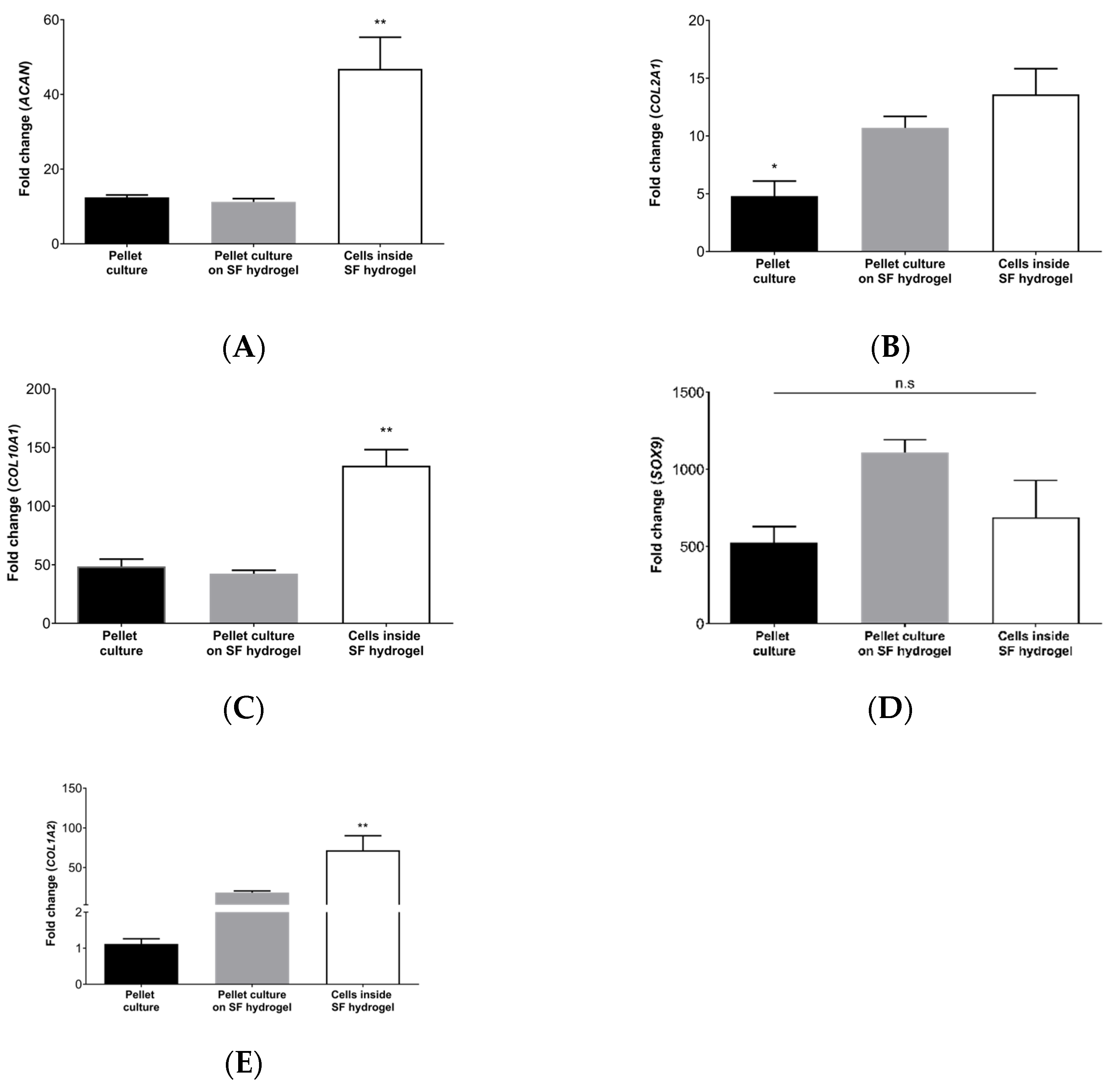 Jfb 13 00297 g005 Jfb 13 00297 g005