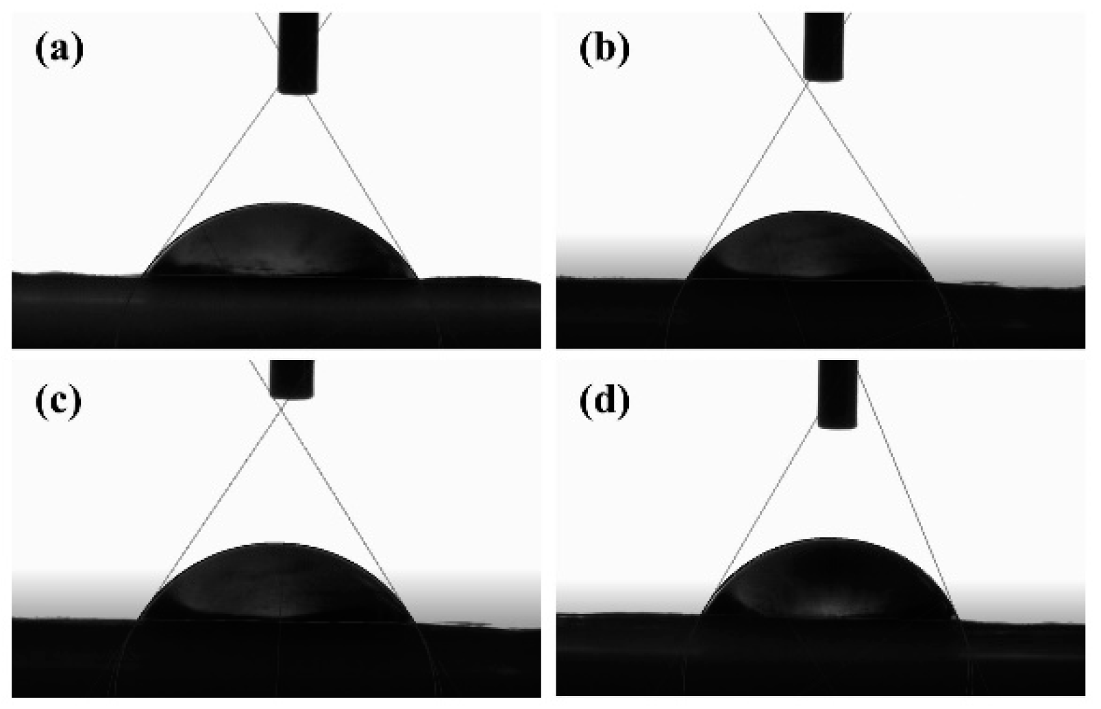 Jfb 13 00303 g003 Jfb 13 00303 g003