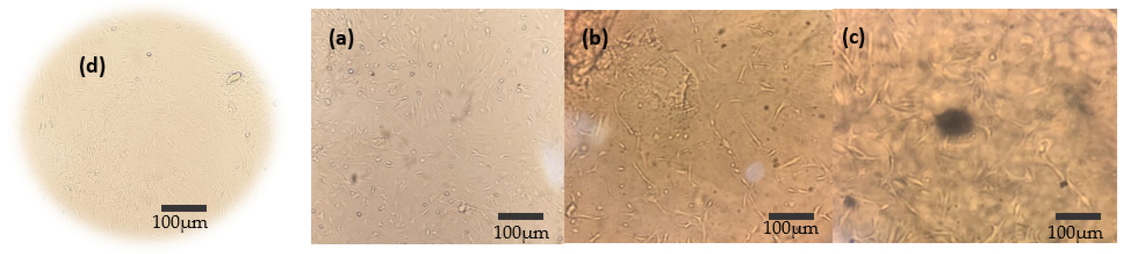 Jfb 14 00074 g001 Jfb 14 00074 g001