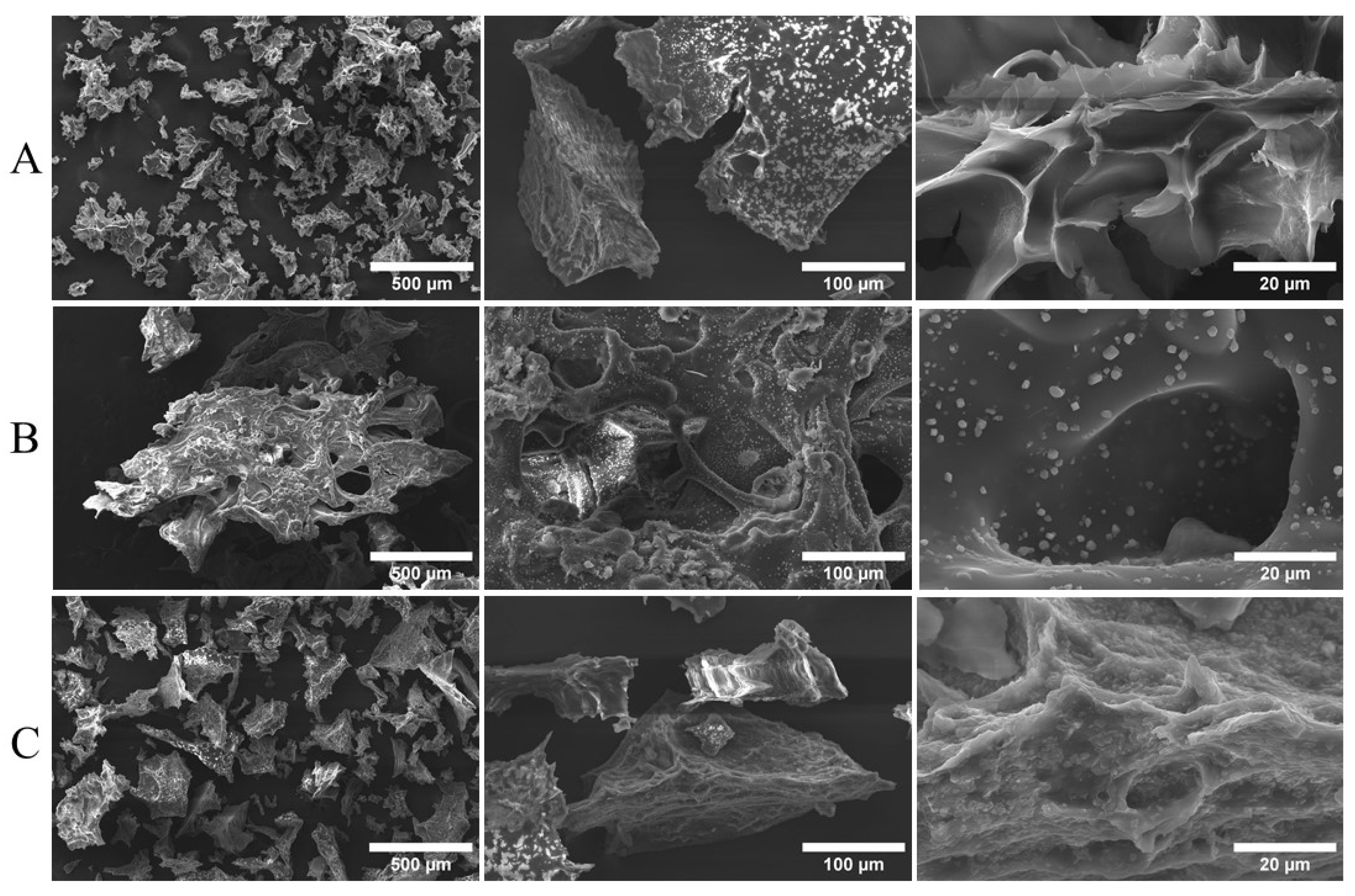 Jfb 14 00074 g006 Jfb 14 00074 g006