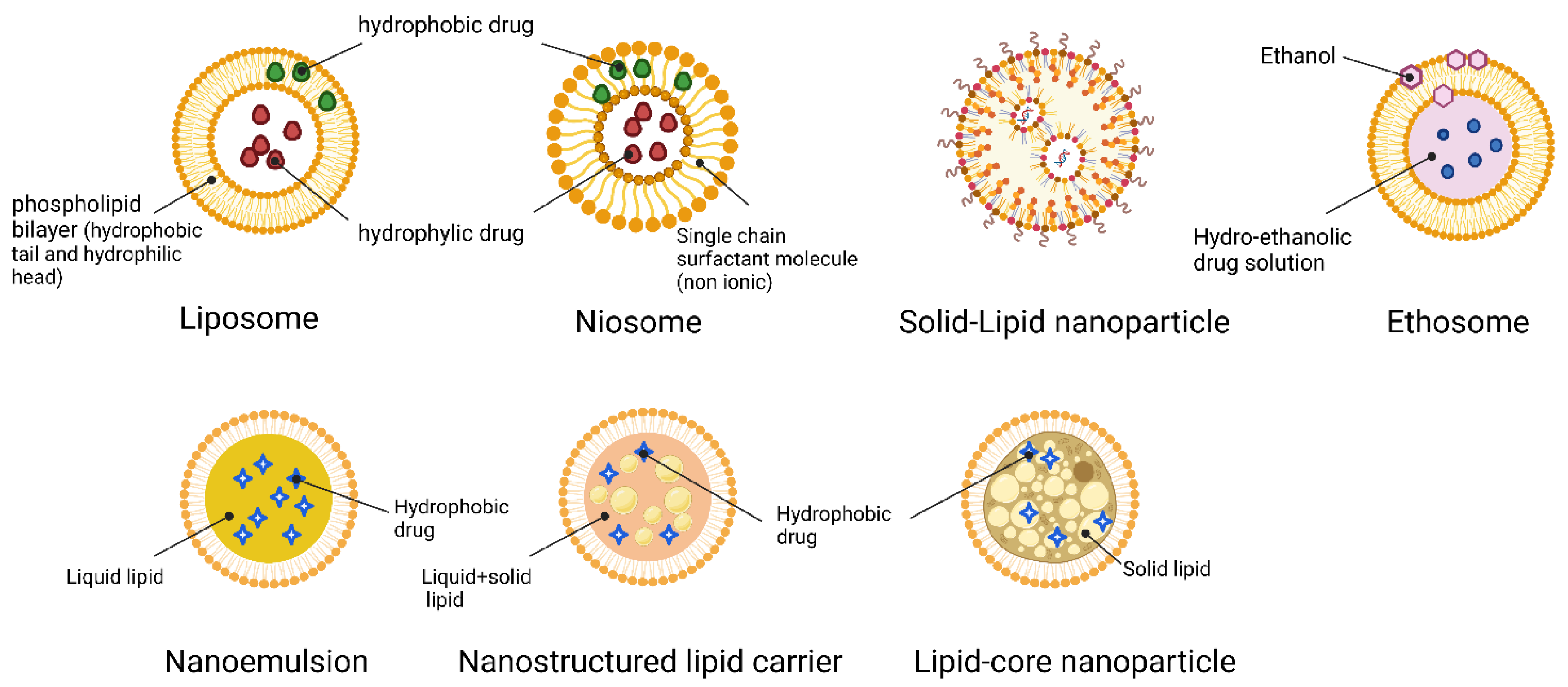 Jfb 14 00115 g002 Jfb 14 00115 g002