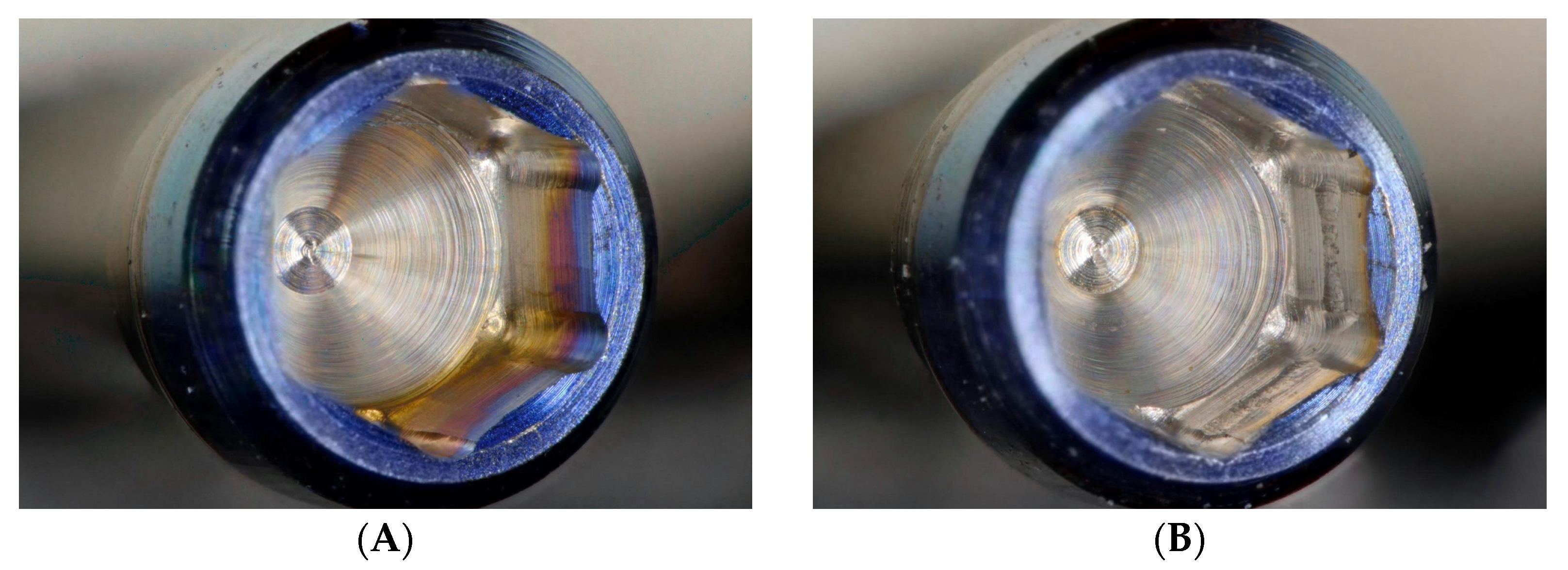 Jfb 14 00124 g008a Jfb 14 00124 g008a