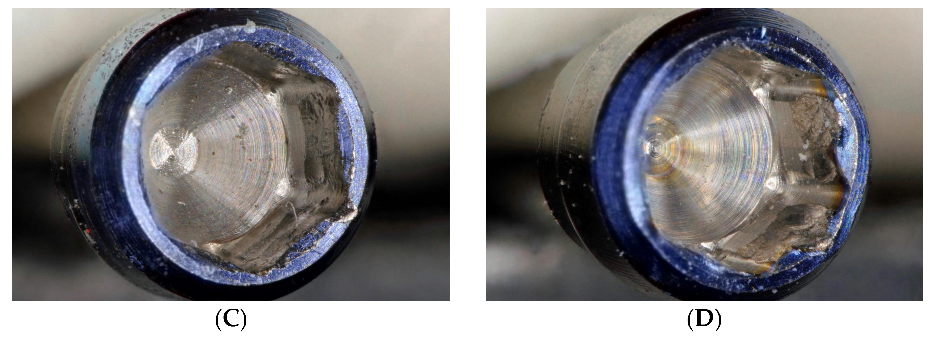 Jfb 14 00124 g008b Jfb 14 00124 g008b