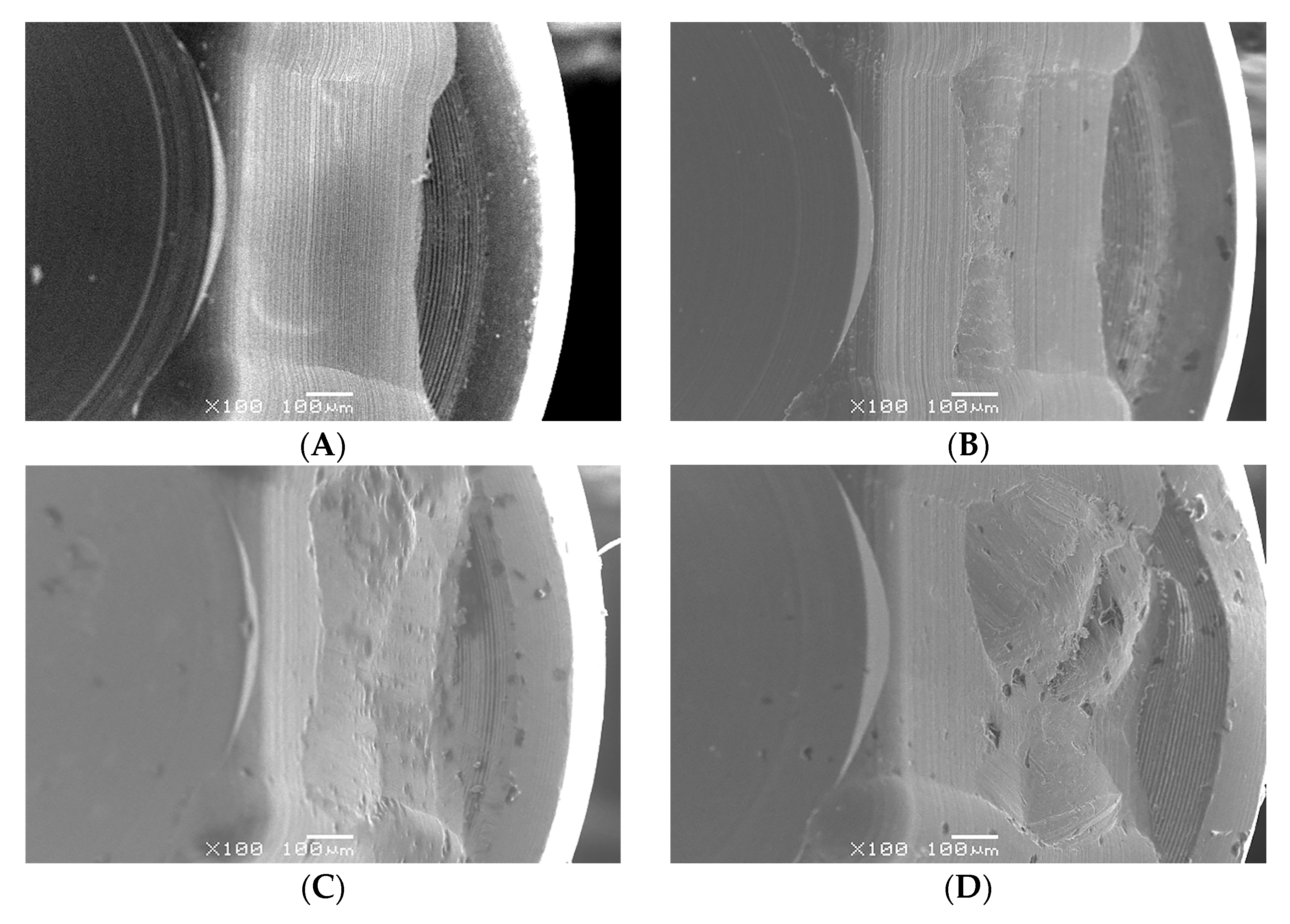 Jfb 14 00124 g009 Jfb 14 00124 g009