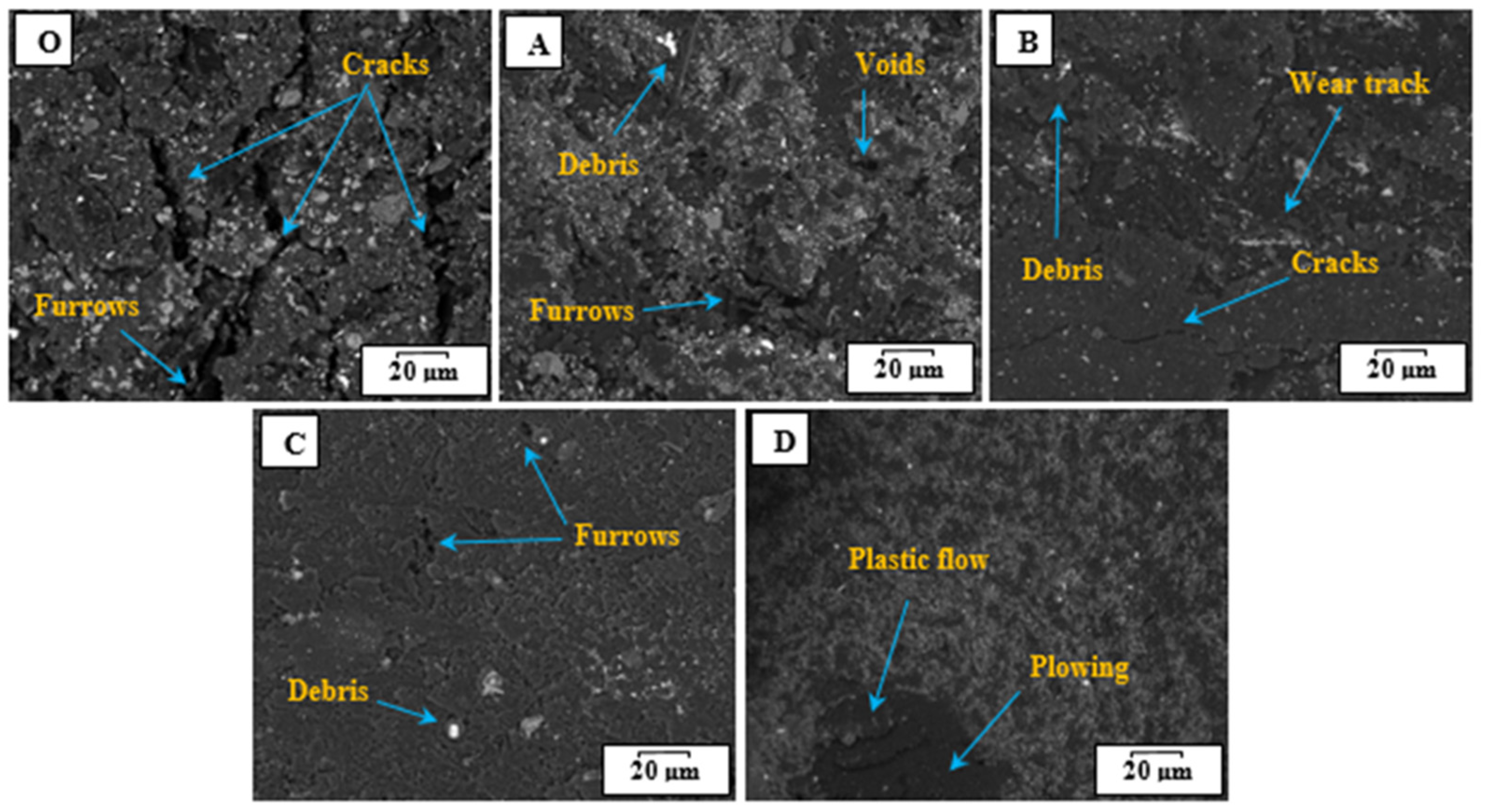 Jfb 14 00140 g006 Jfb 14 00140 g006
