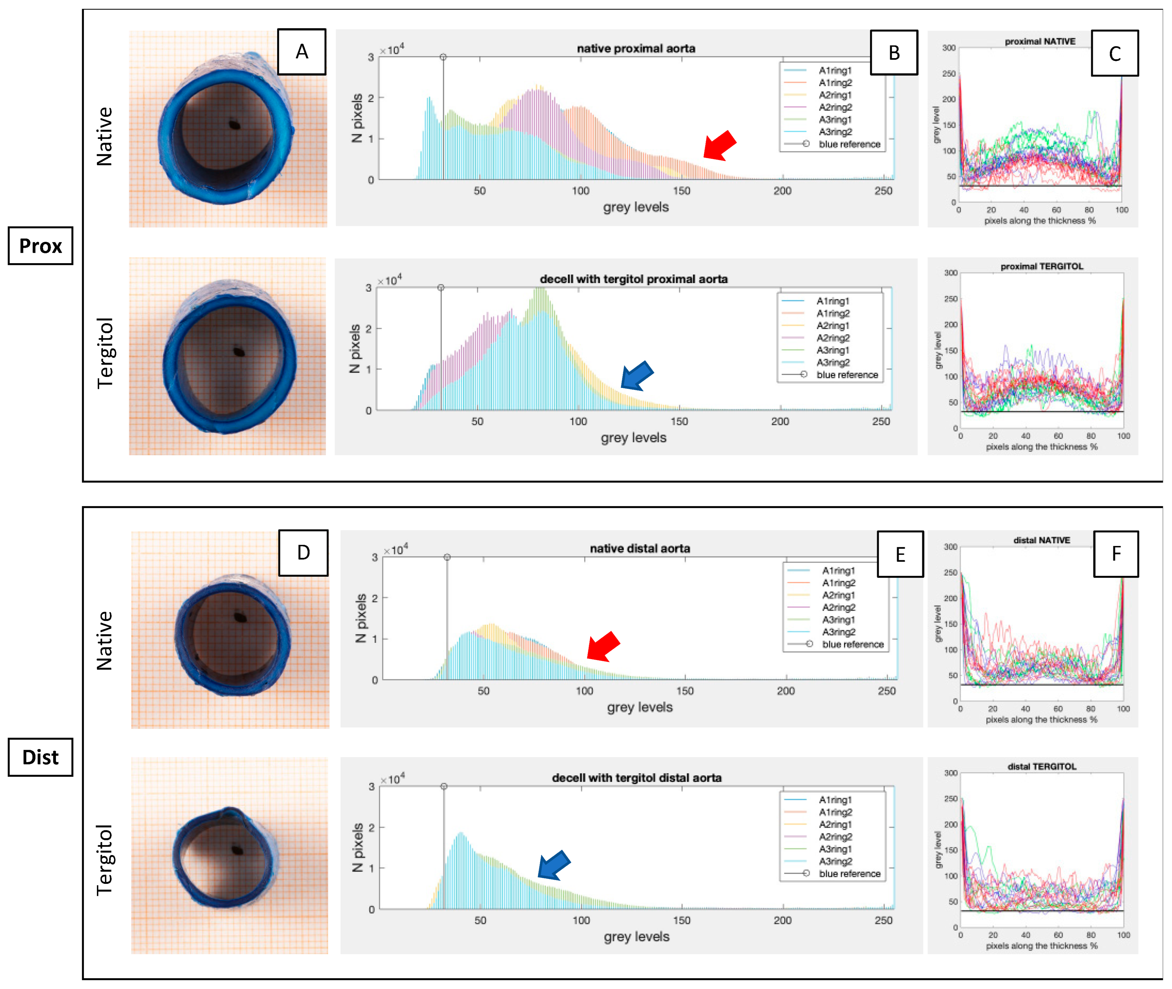 Jfb 14 00141 g001 Jfb 14 00141 g001