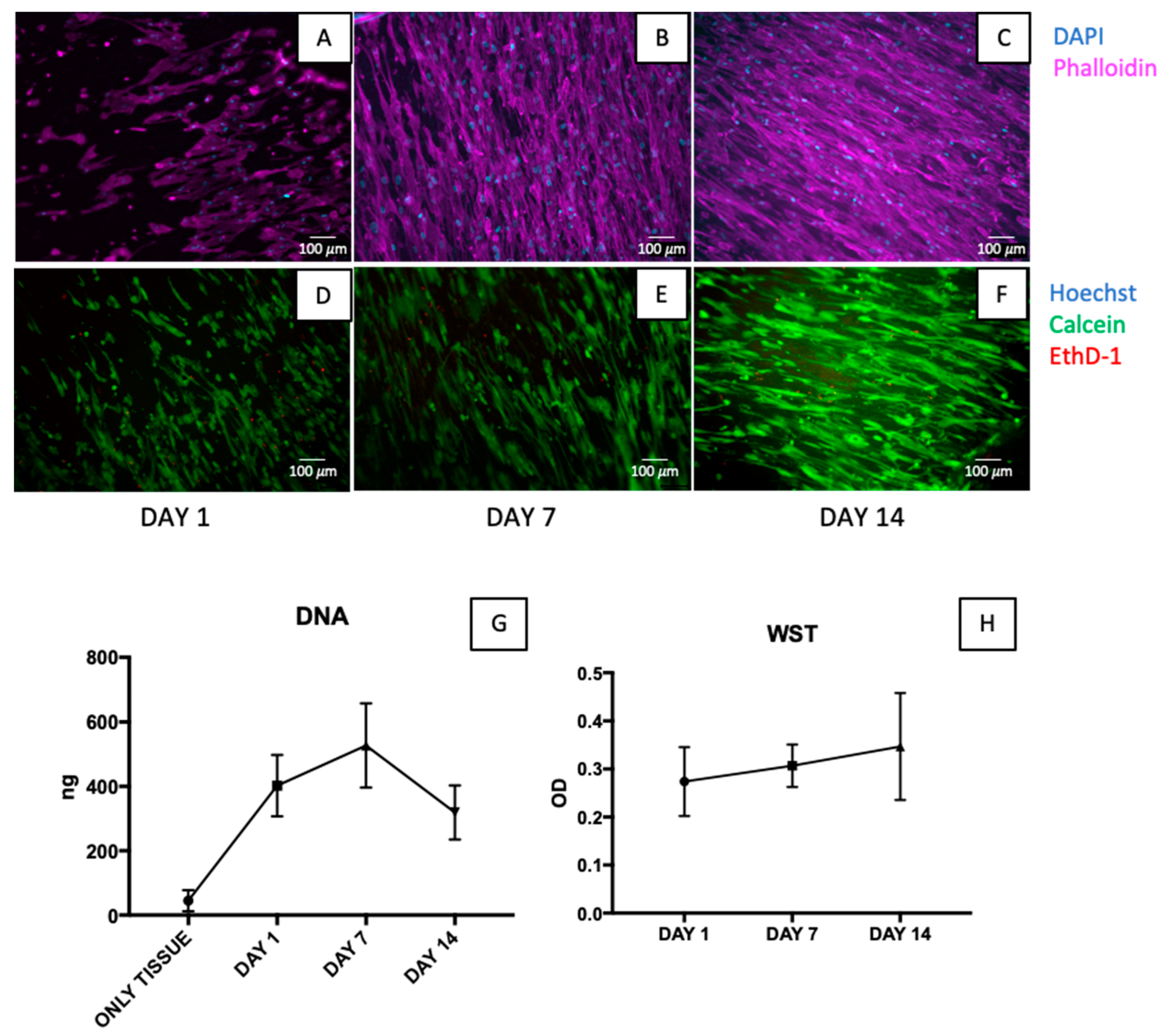 Jfb 14 00141 g006 Jfb 14 00141 g006