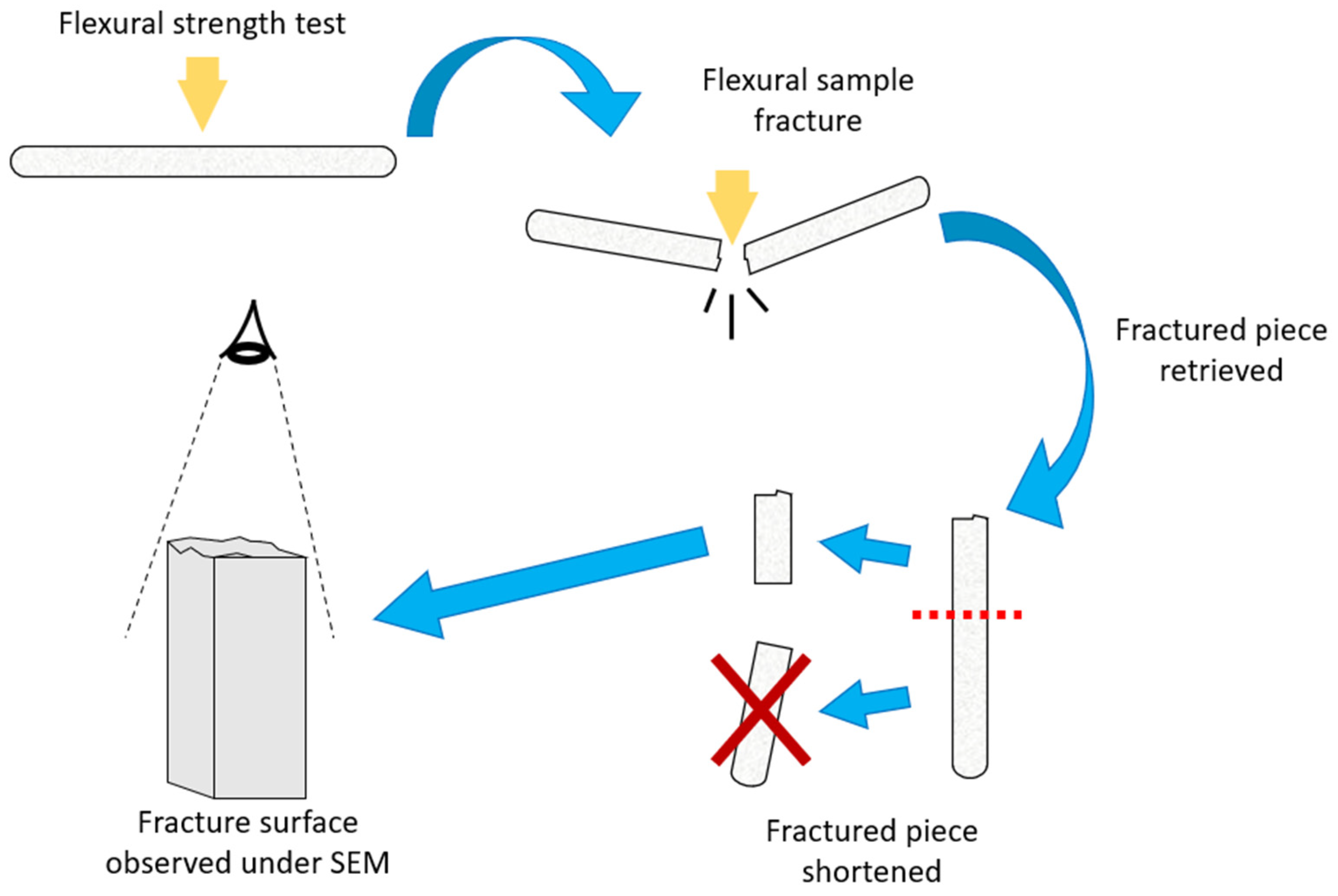 Jfb 14 00184 g002 Jfb 14 00184 g002