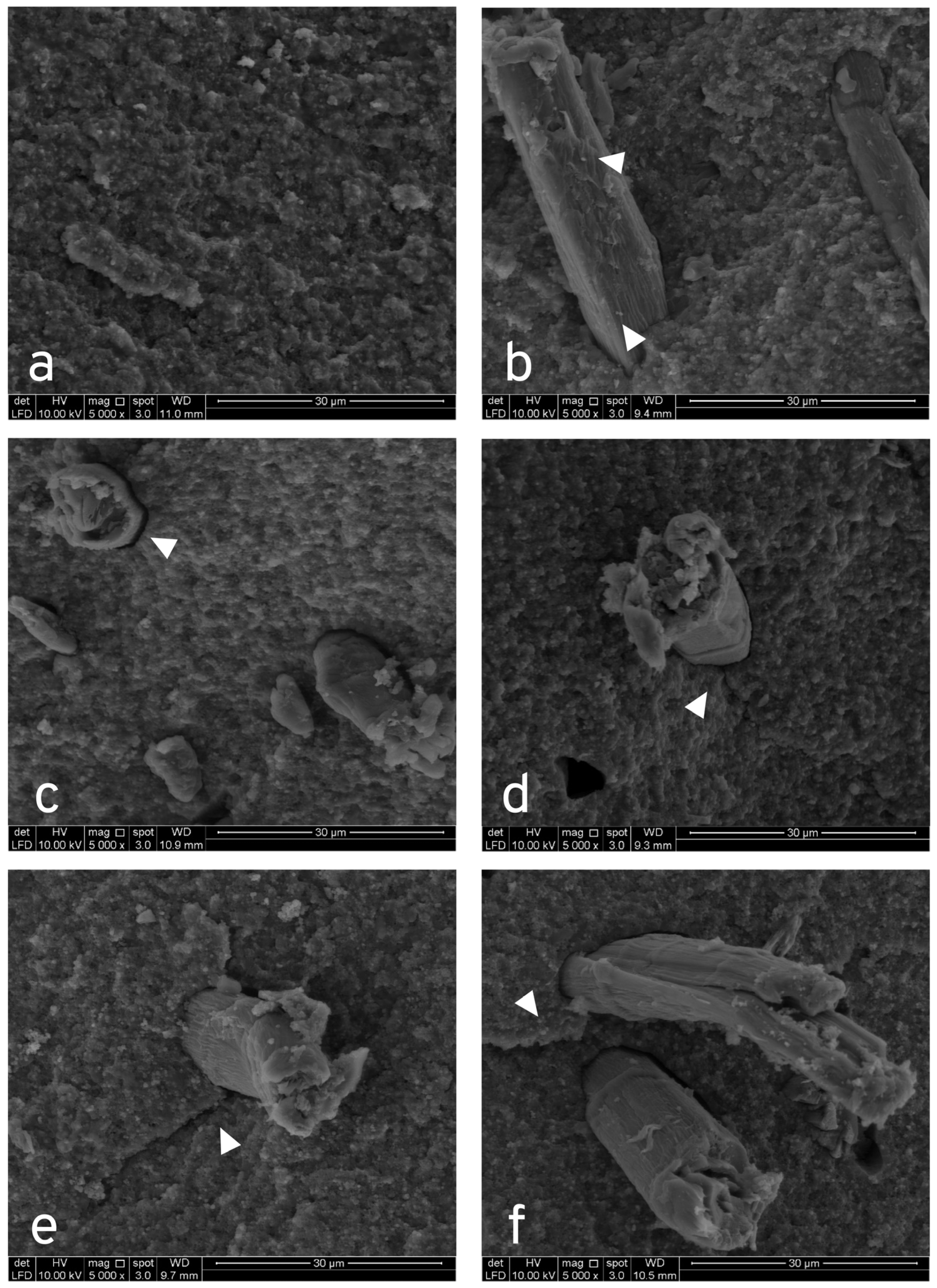 Jfb 14 00184 g005 Jfb 14 00184 g005