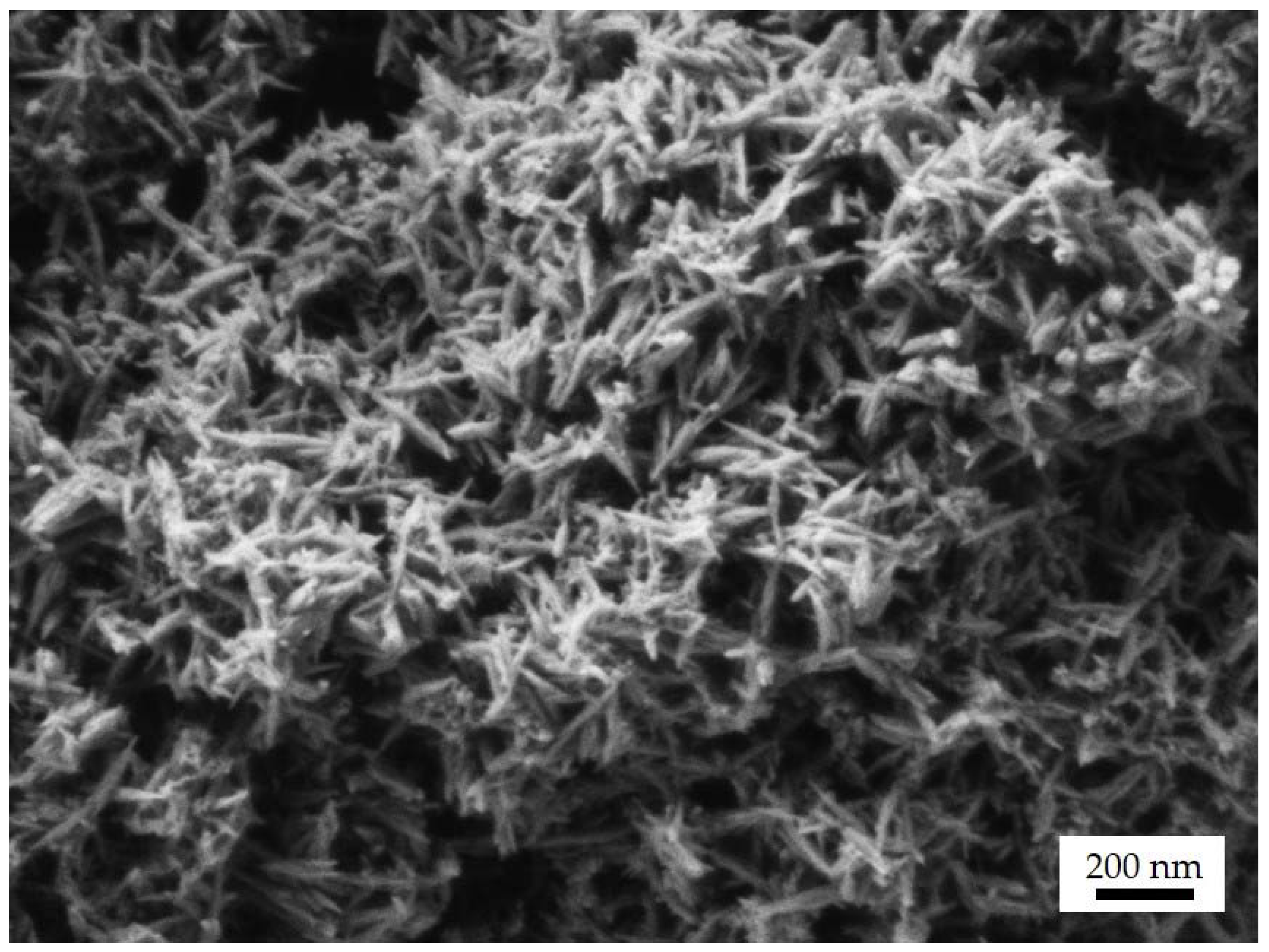 Jfb 14 00189 g007 Jfb 14 00189 g007