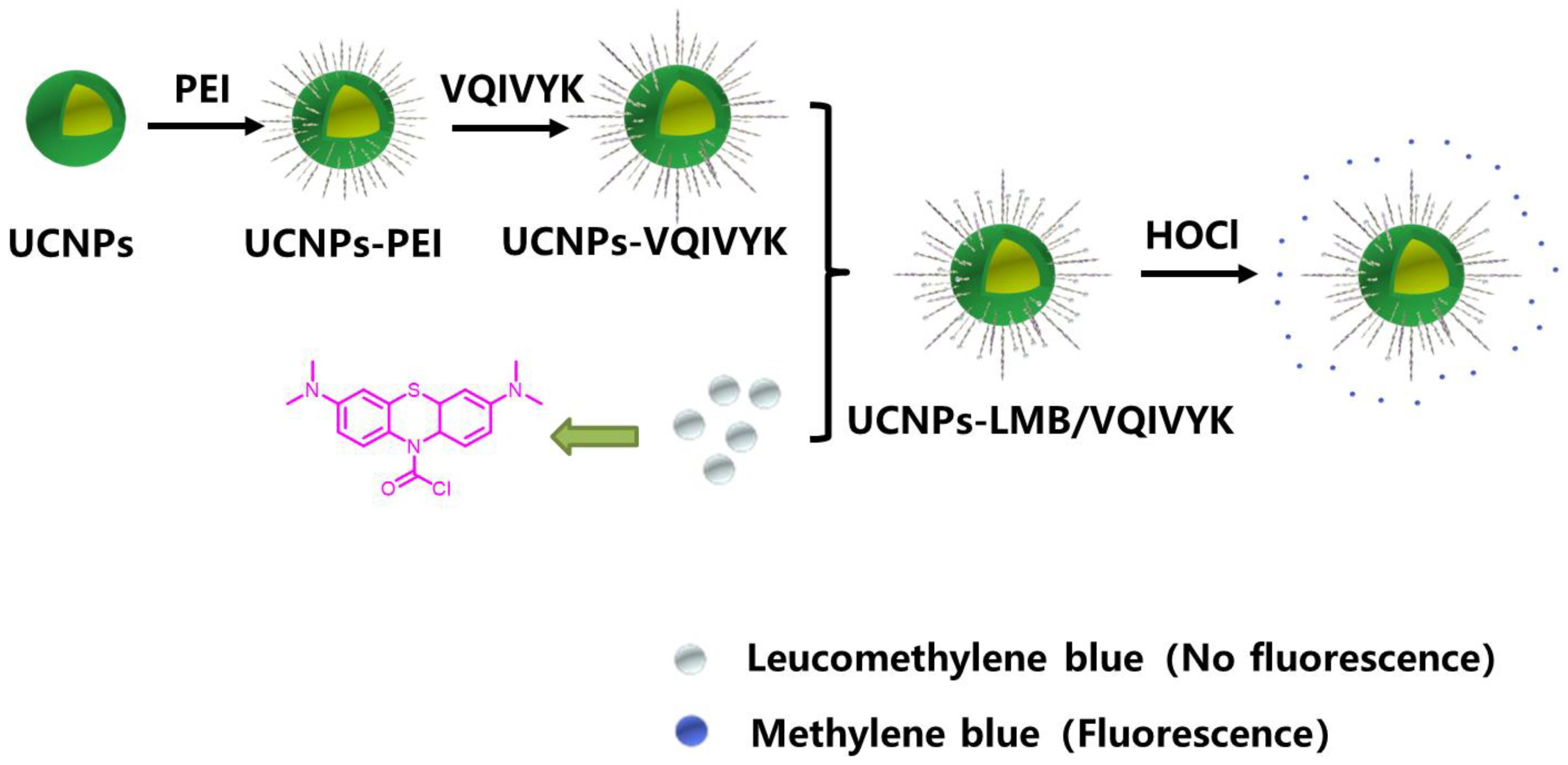 Jfb 14 00207 g001 Jfb 14 00207 g001