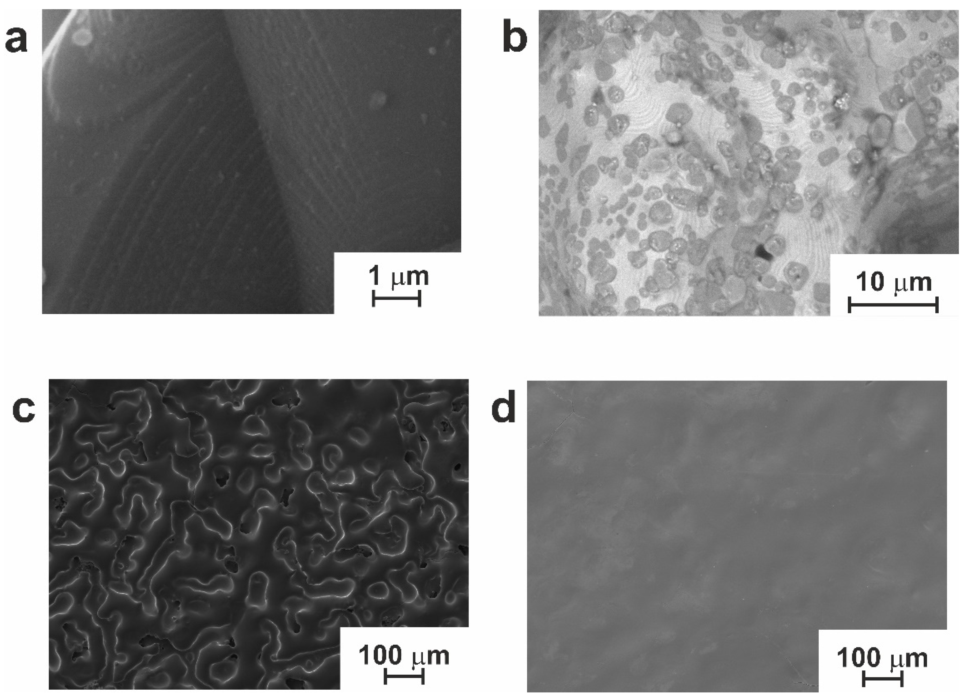 Jfb 14 00277 g004 Jfb 14 00277 g004