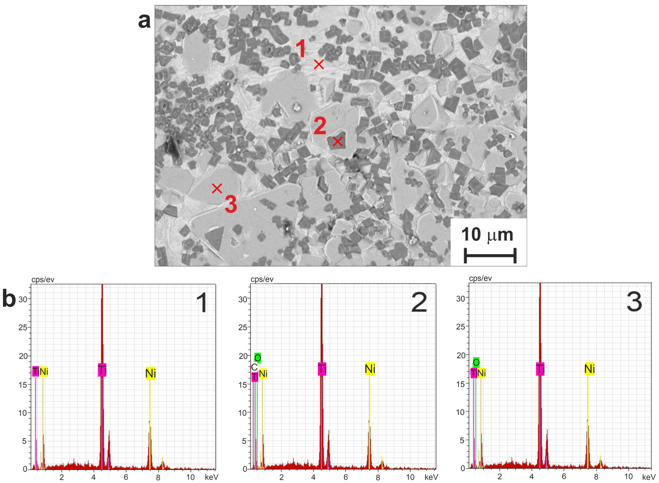 Jfb 14 00277 g008 Jfb 14 00277 g008