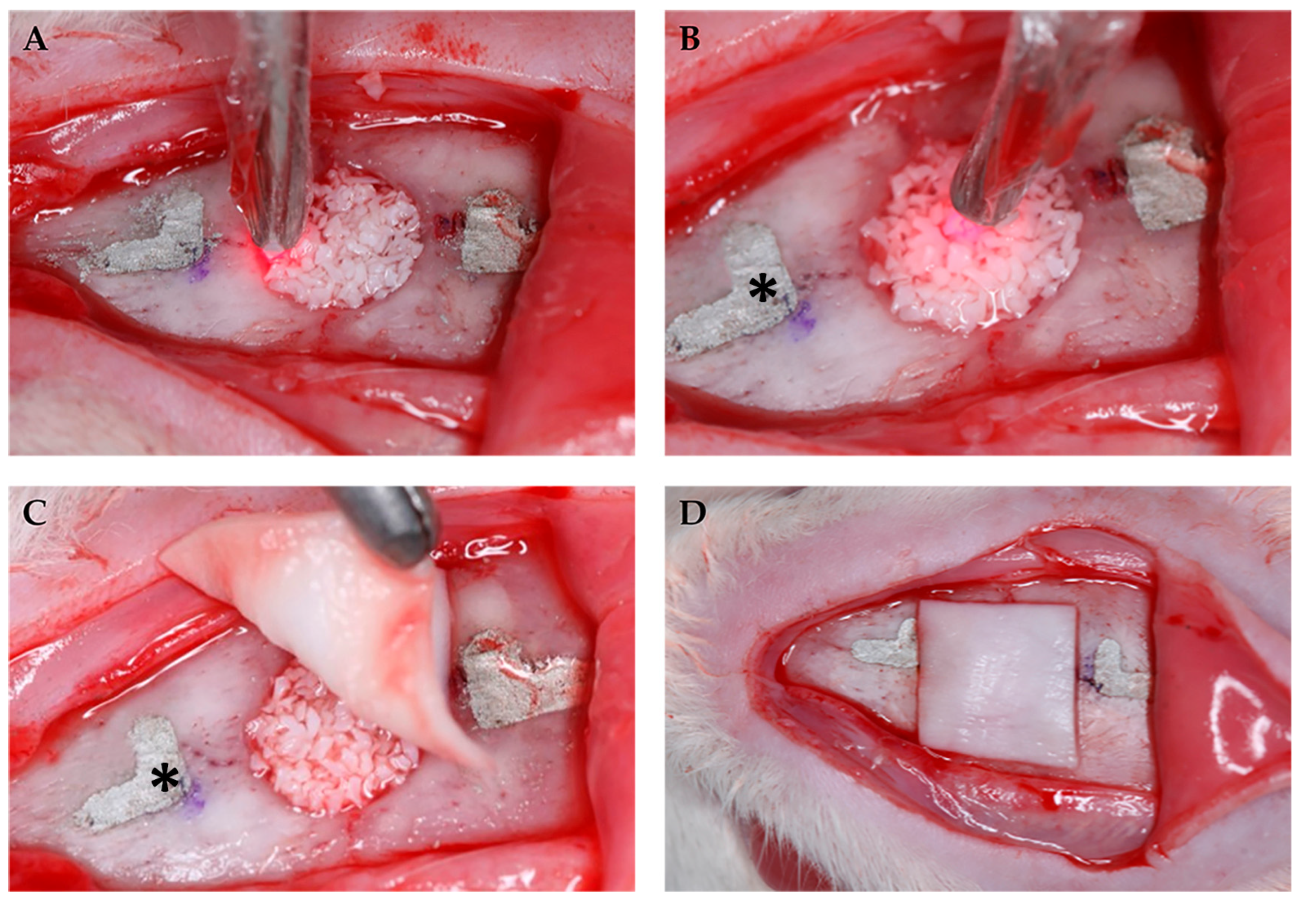 Jfb 14 00281 g001 Jfb 14 00281 g001