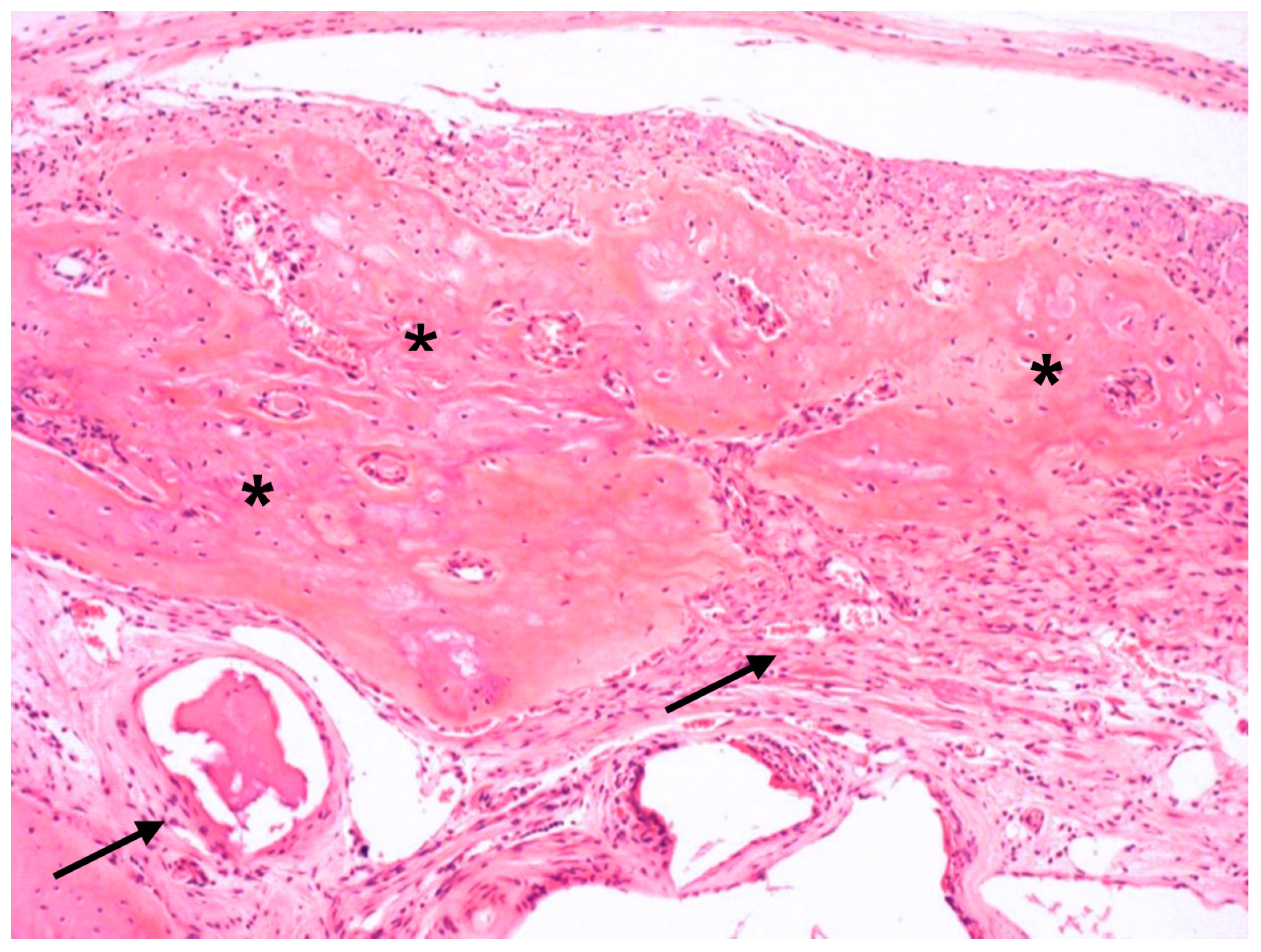 Jfb 14 00281 g008 Jfb 14 00281 g008