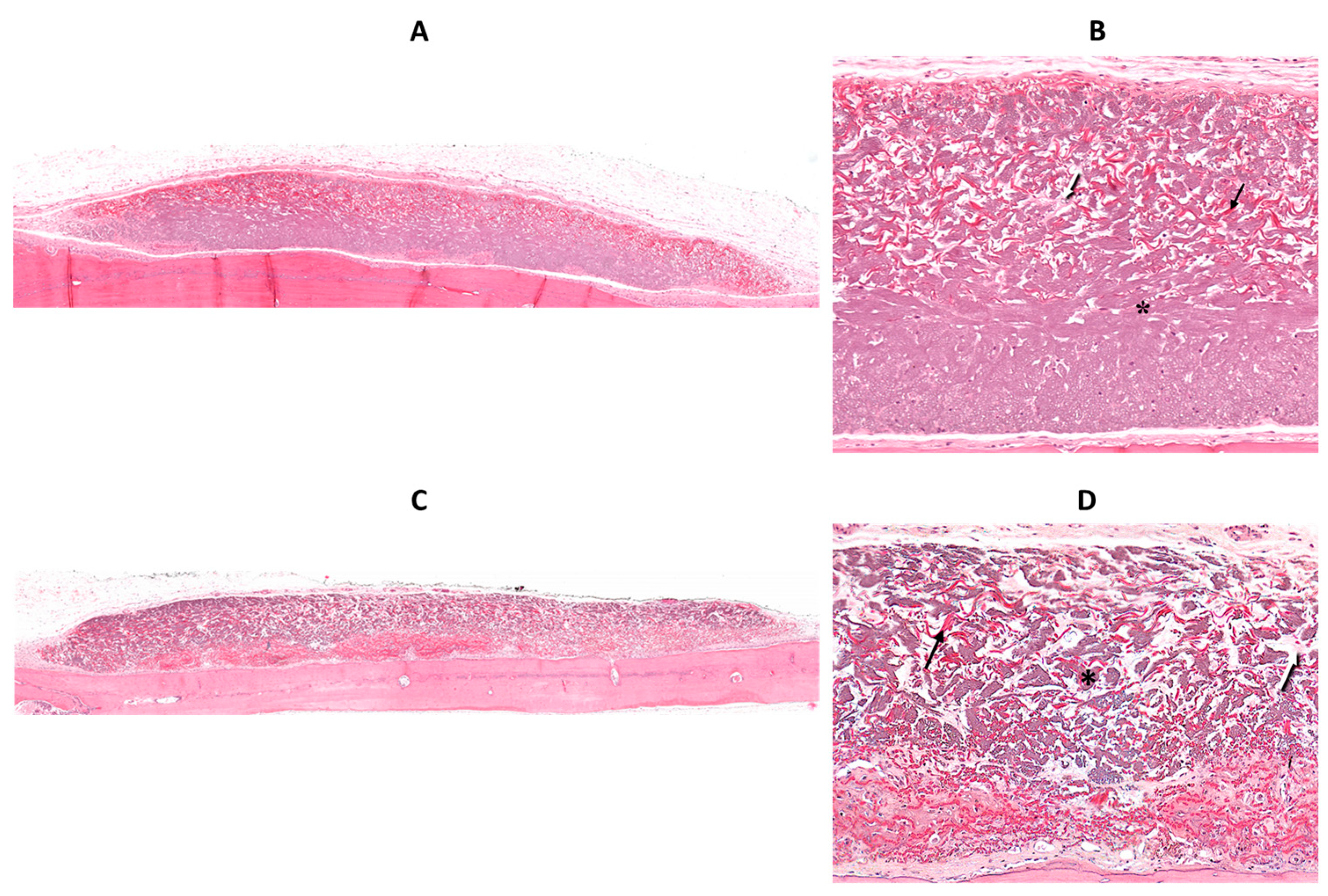 Jfb 14 00283 g005 Jfb 14 00283 g005