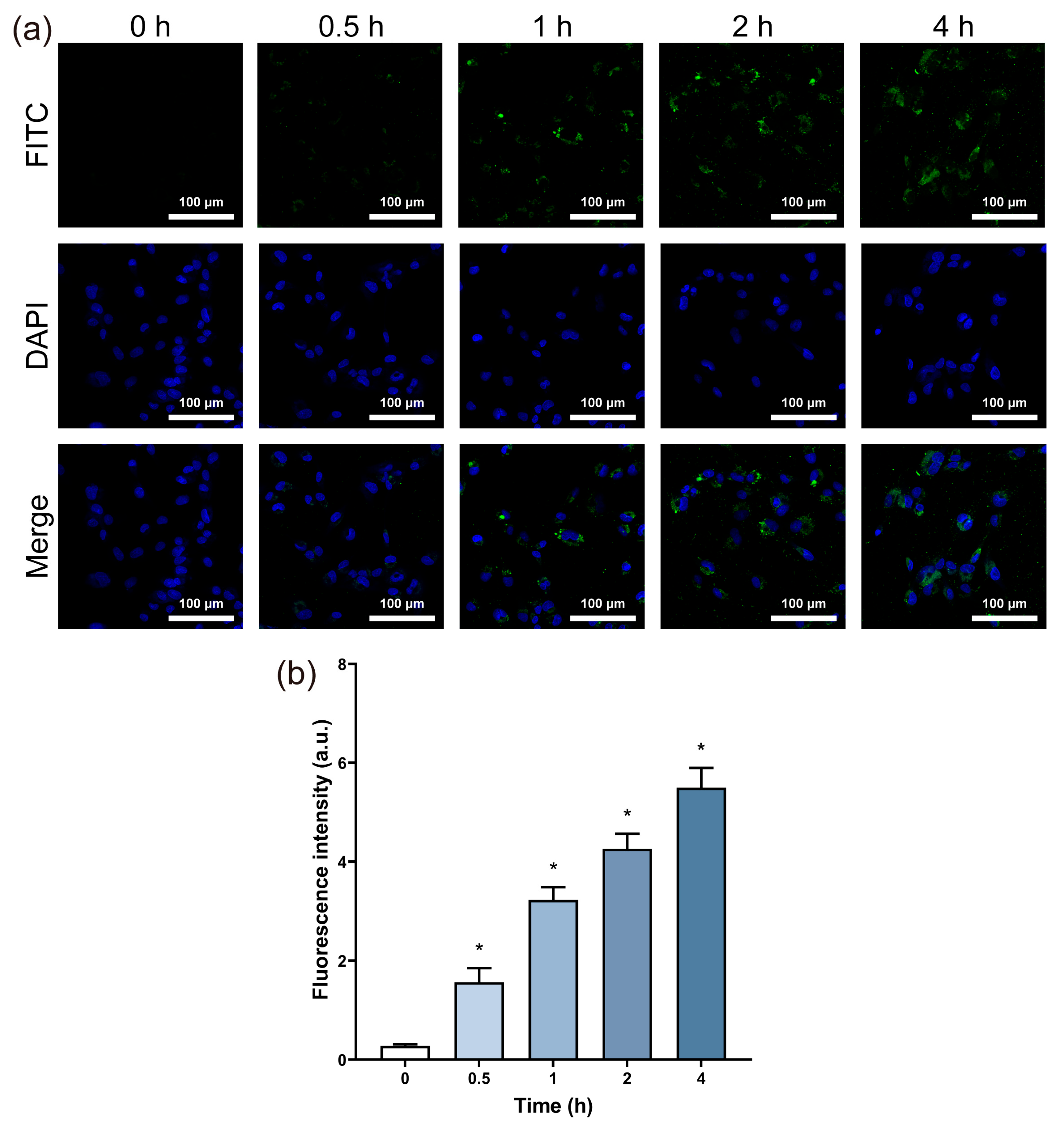Jfb 14 00284 g002 Jfb 14 00284 g002