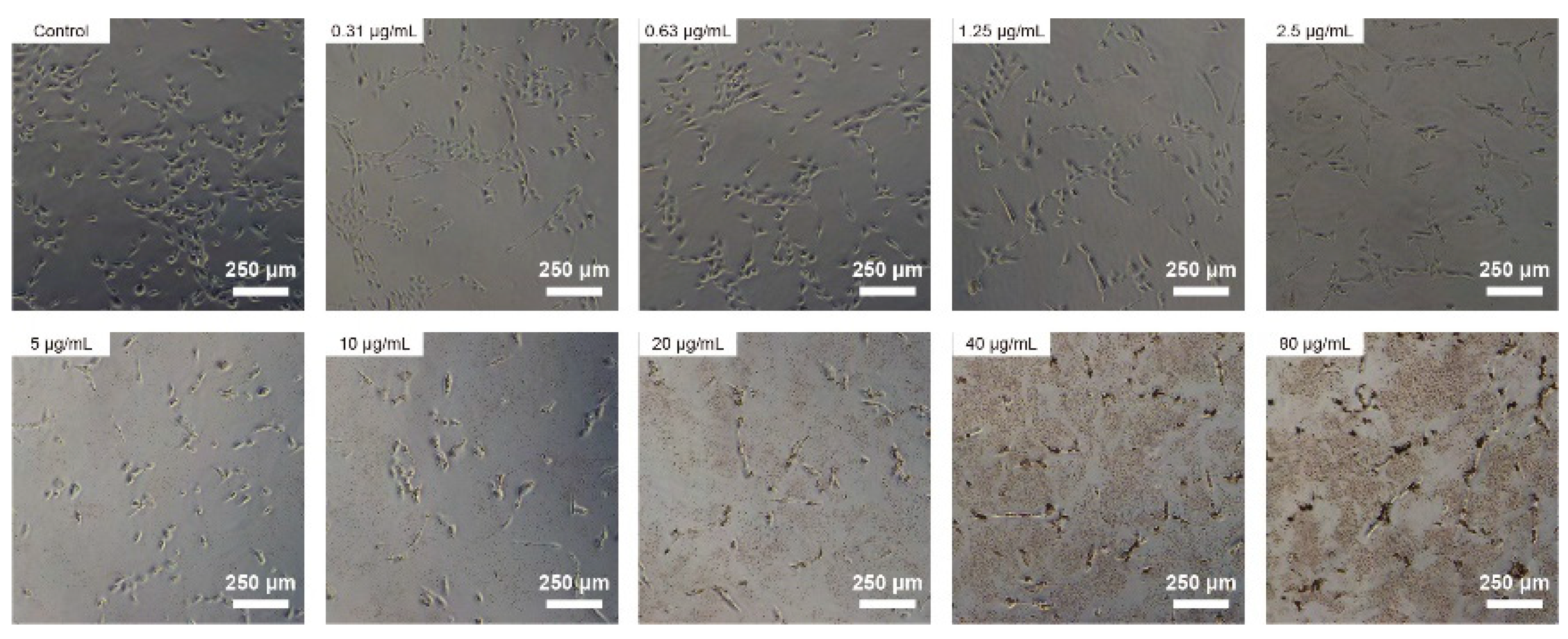 Jfb 14 00284 g003 Jfb 14 00284 g003