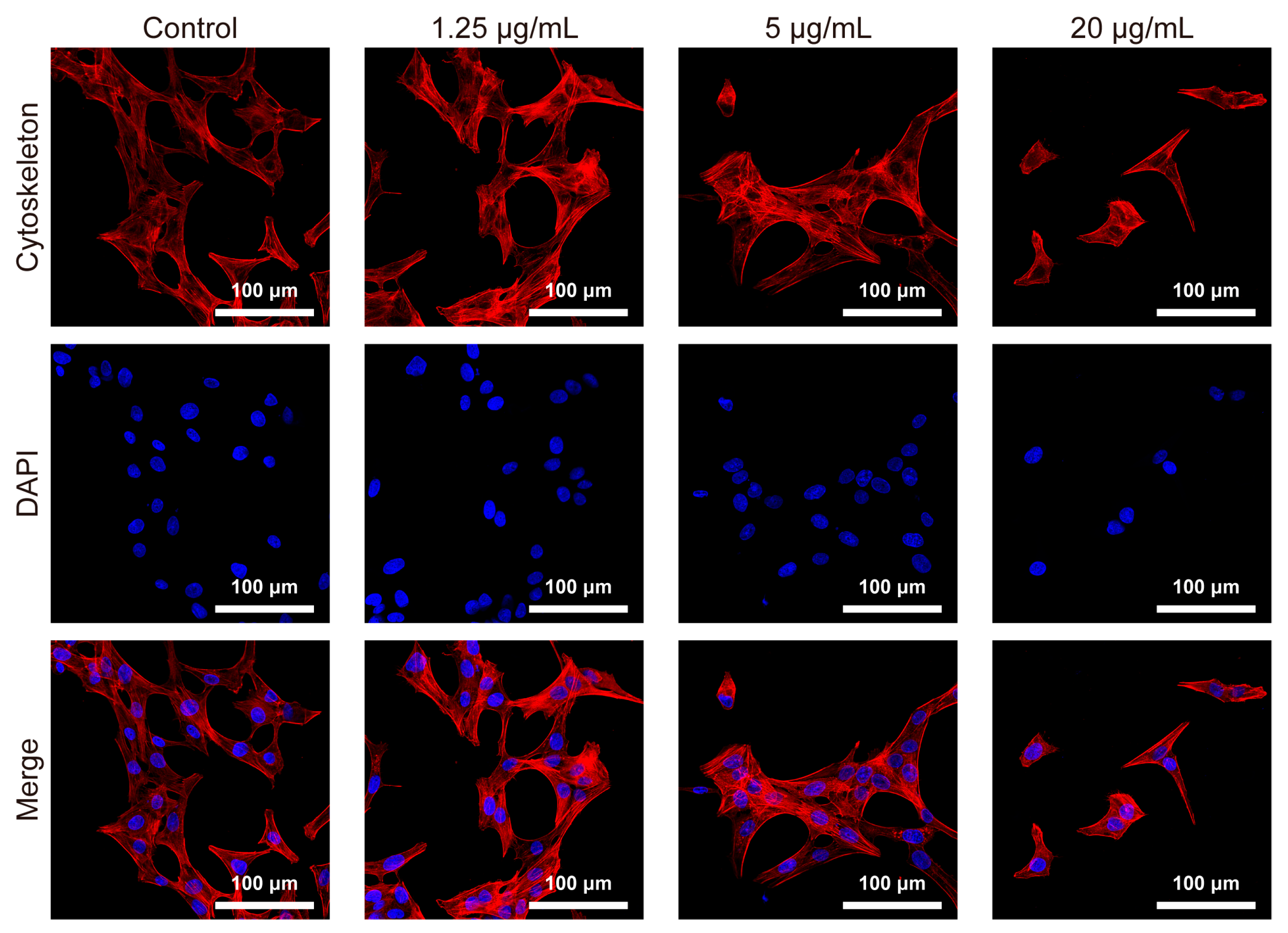 Jfb 14 00284 g006 Jfb 14 00284 g006
