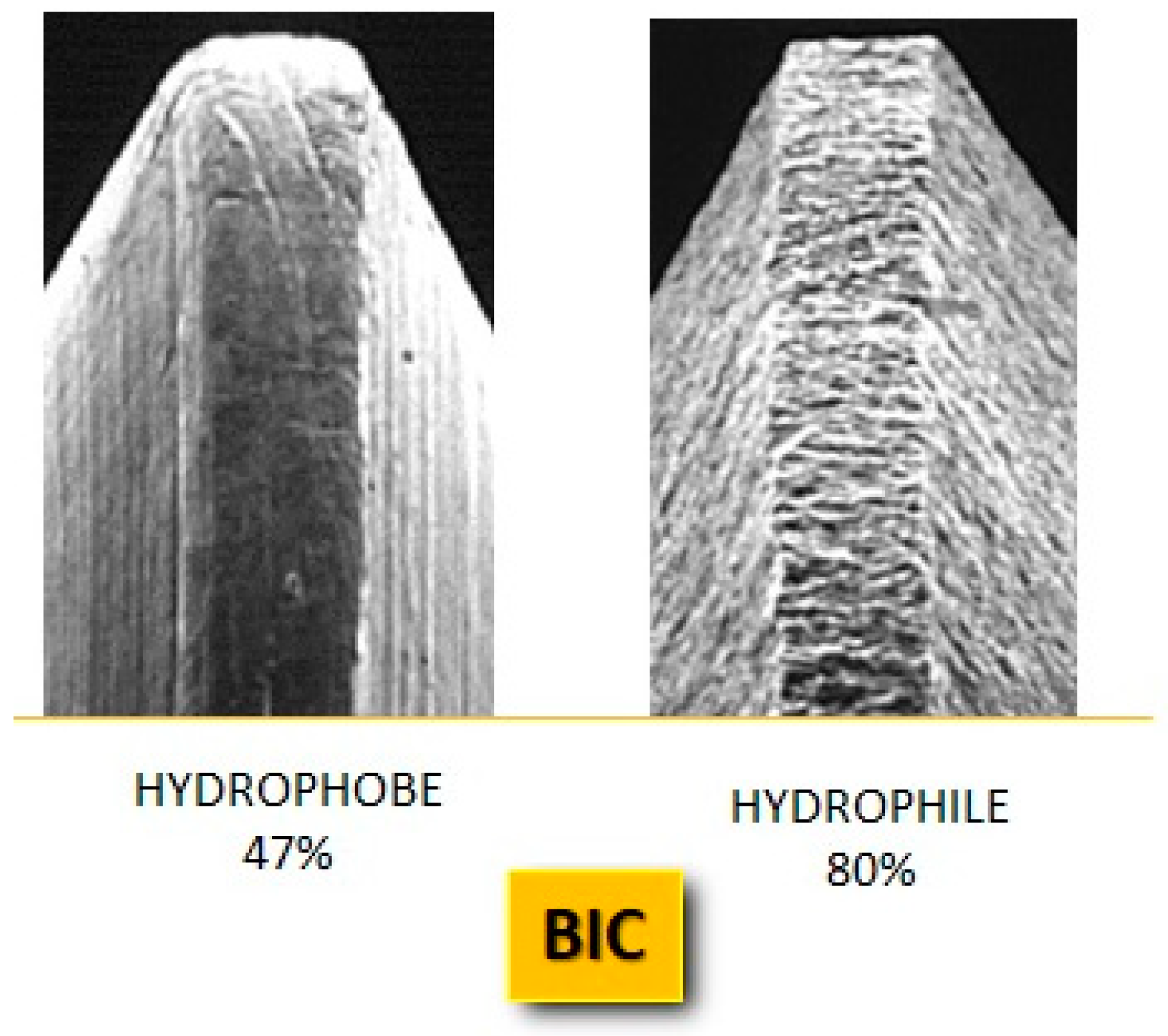 Jfb 14 00287 g007 Jfb 14 00287 g007