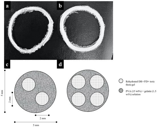 Water-content related alterations in macro and micro scale tendon  biomechanics