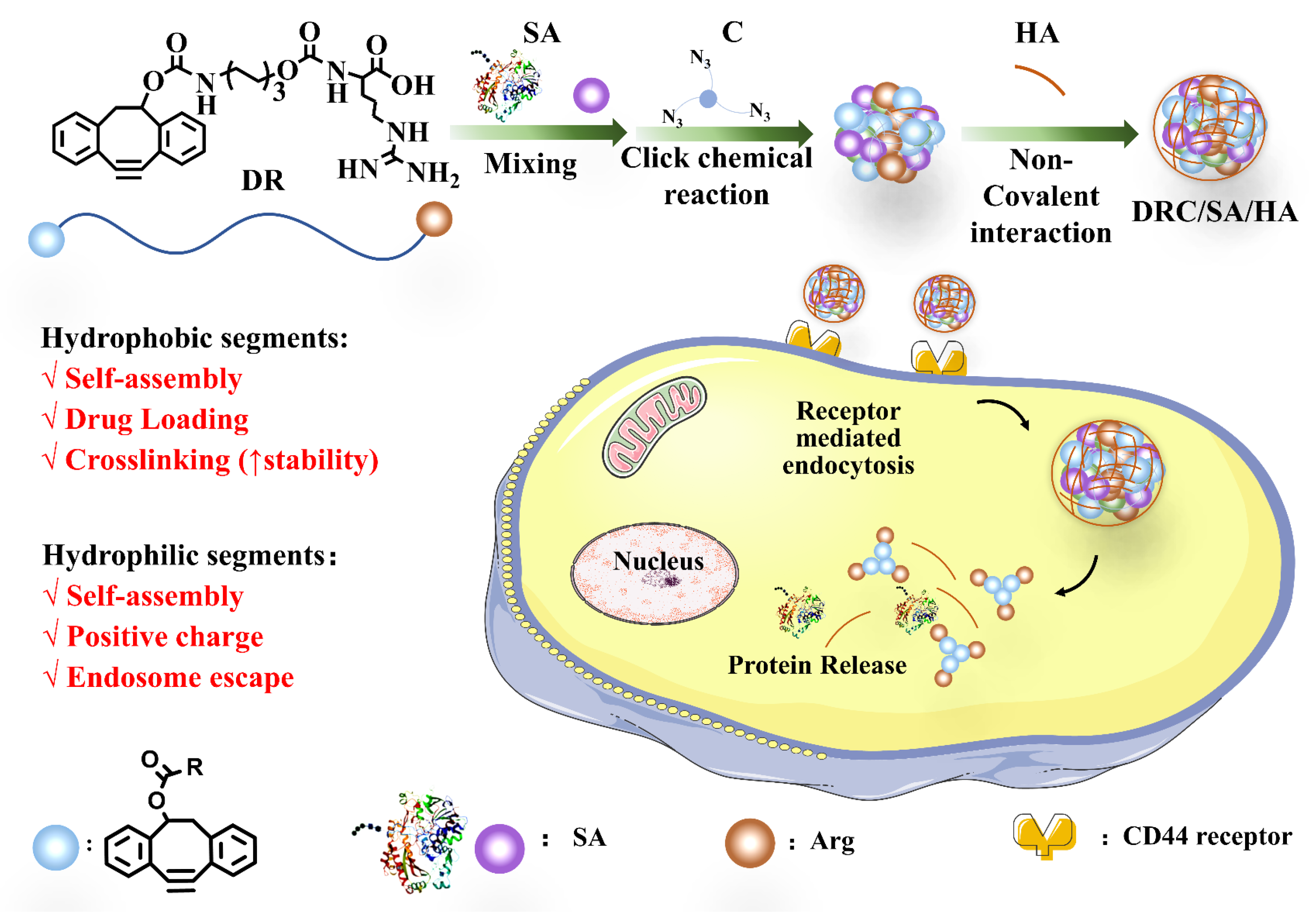 Jfb 14 00301 g001 Jfb 14 00301 g001