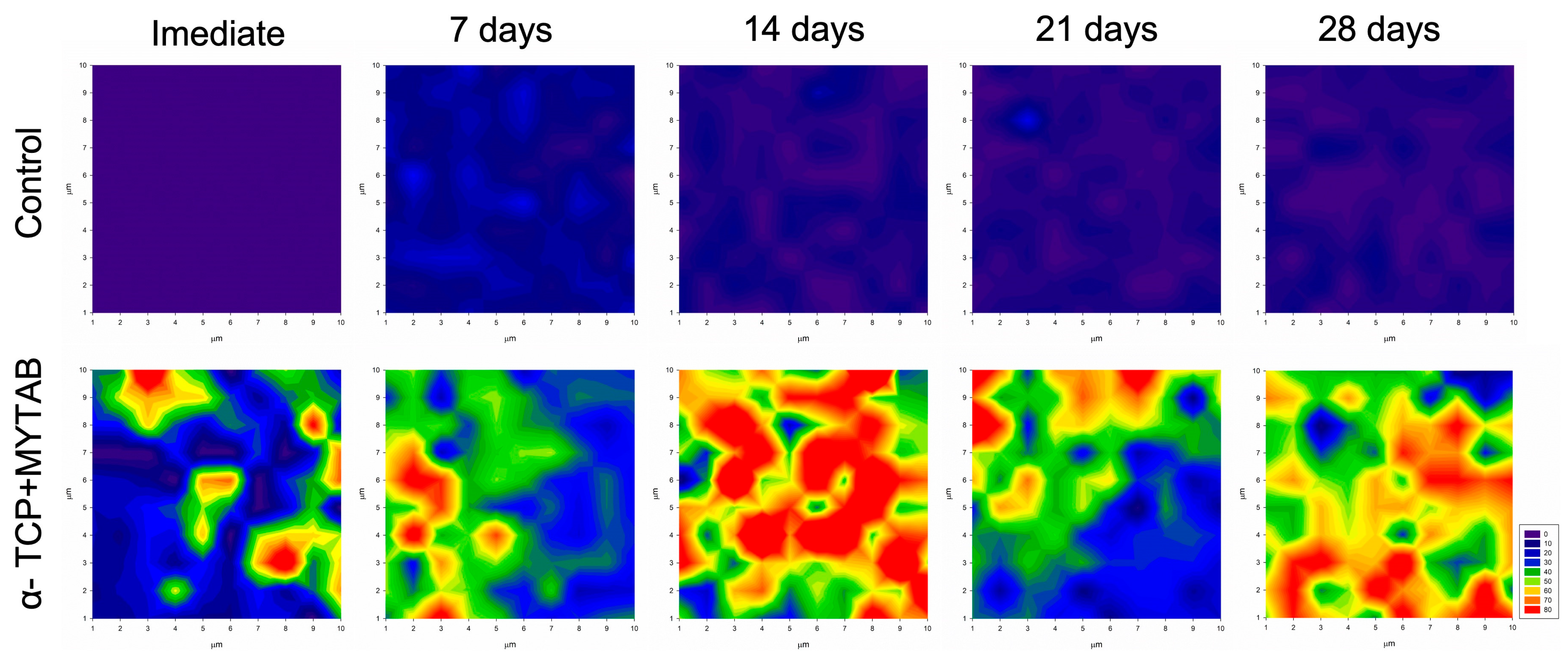 Jfb 14 00303 g005 Jfb 14 00303 g005