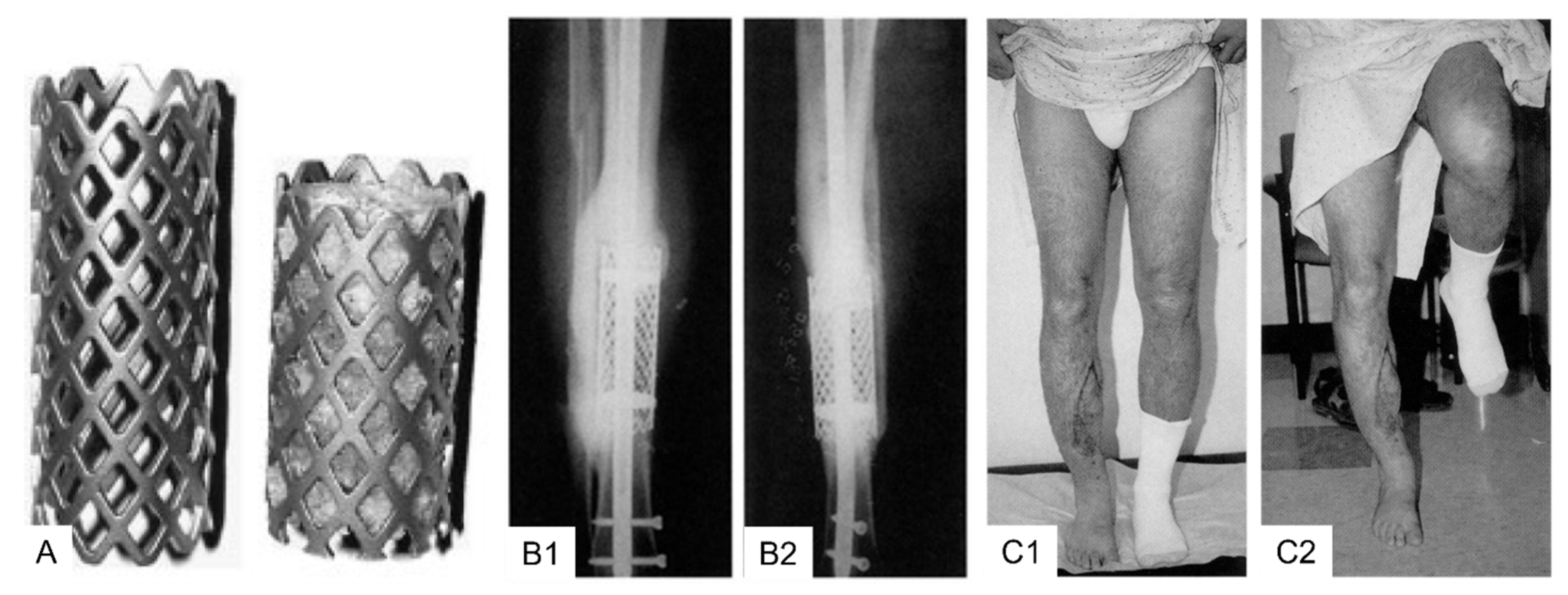 Jfb 14 00341 g004 Jfb 14 00341 g004