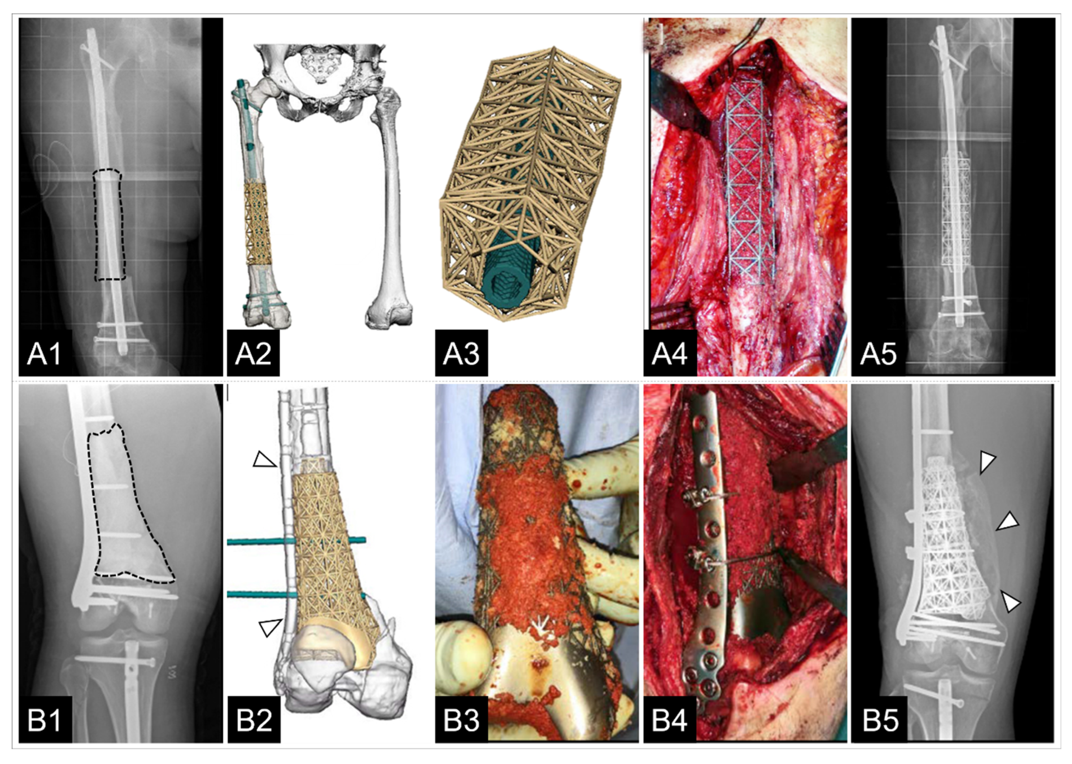Jfb 14 00341 g007 Jfb 14 00341 g007