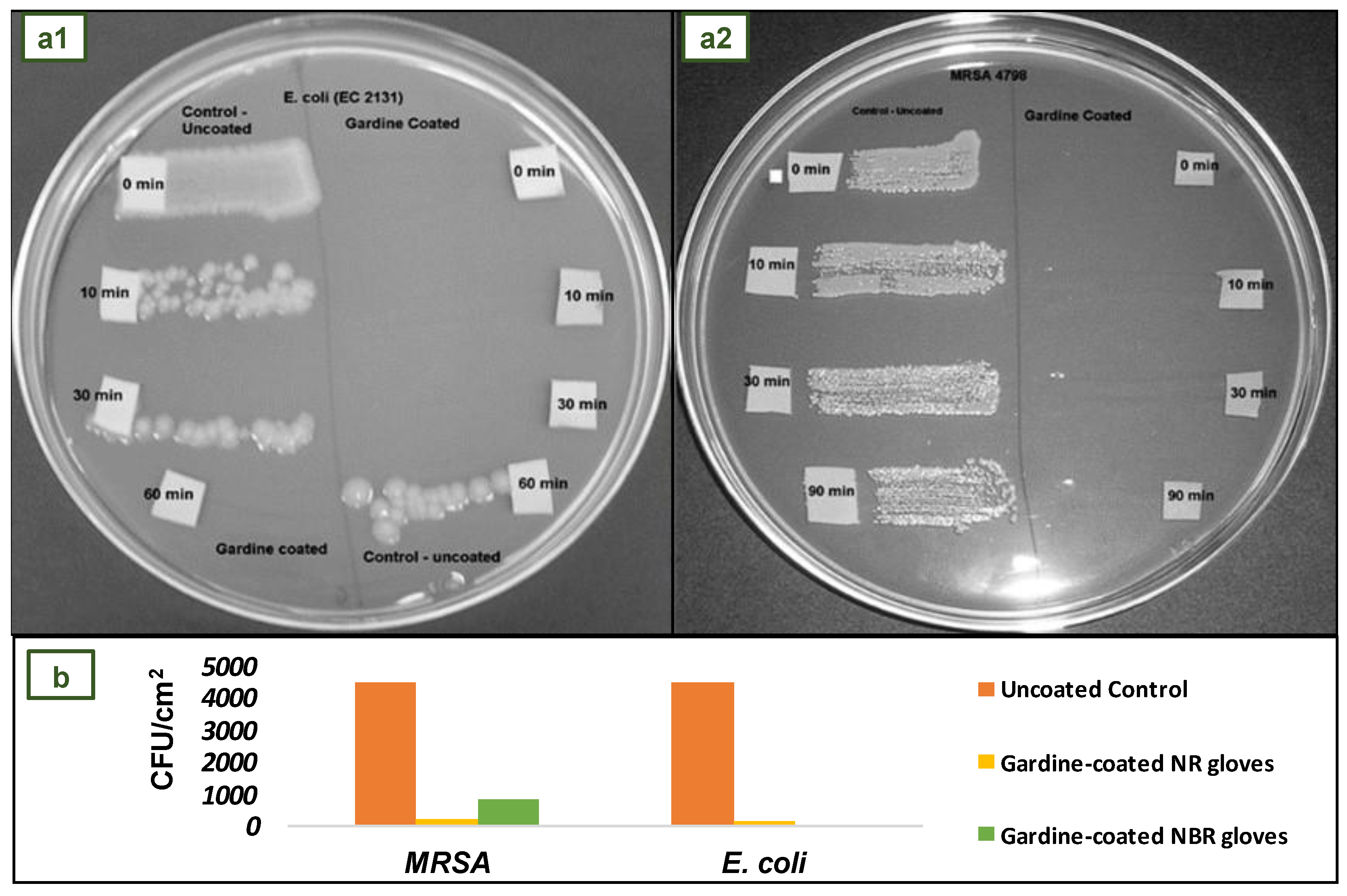 Jfb 14 00349 g013 Jfb 14 00349 g013