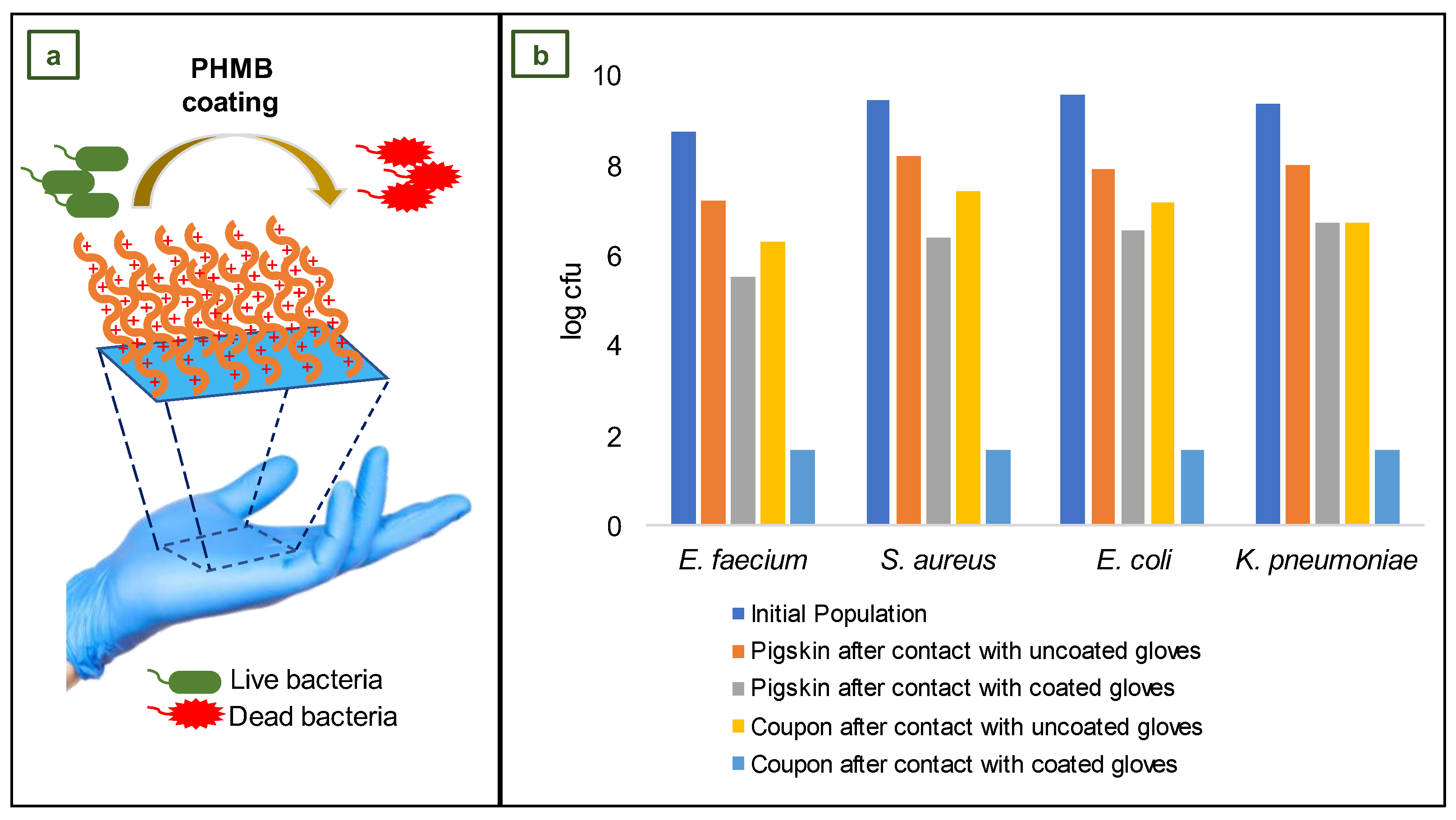 Jfb 14 00349 g014 Jfb 14 00349 g014