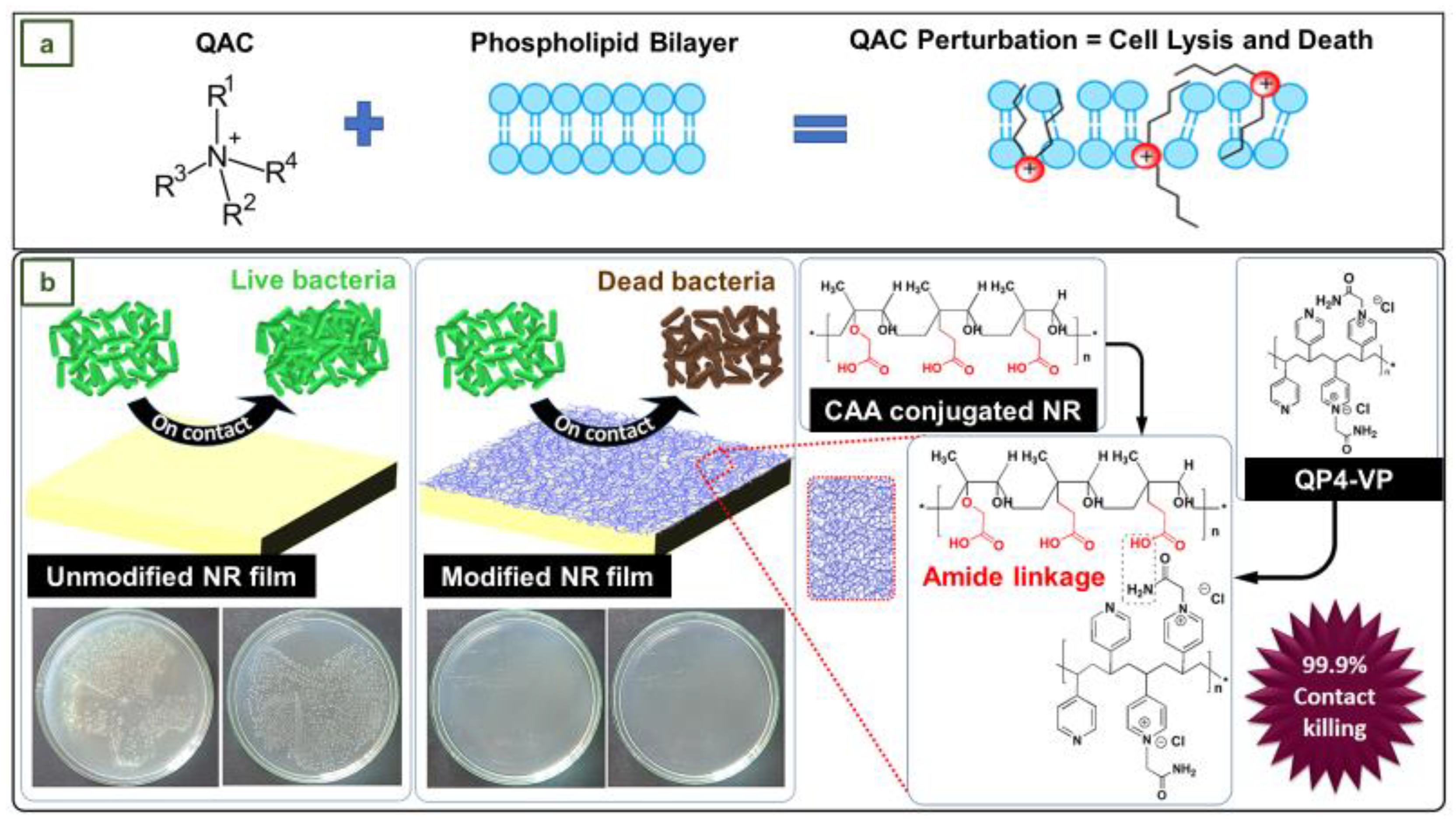 Jfb 14 00349 g016 Jfb 14 00349 g016