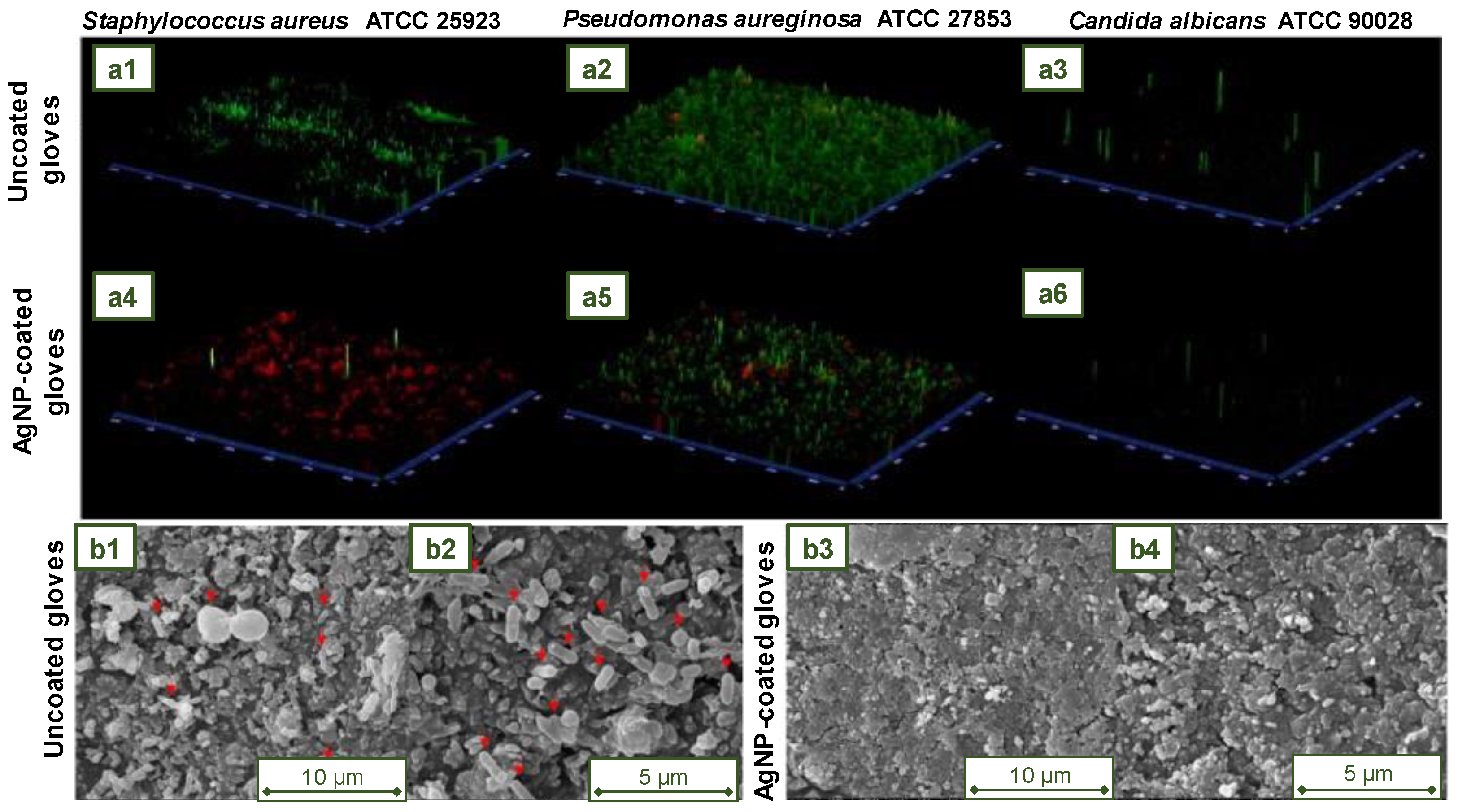 Jfb 14 00349 g018 Jfb 14 00349 g018