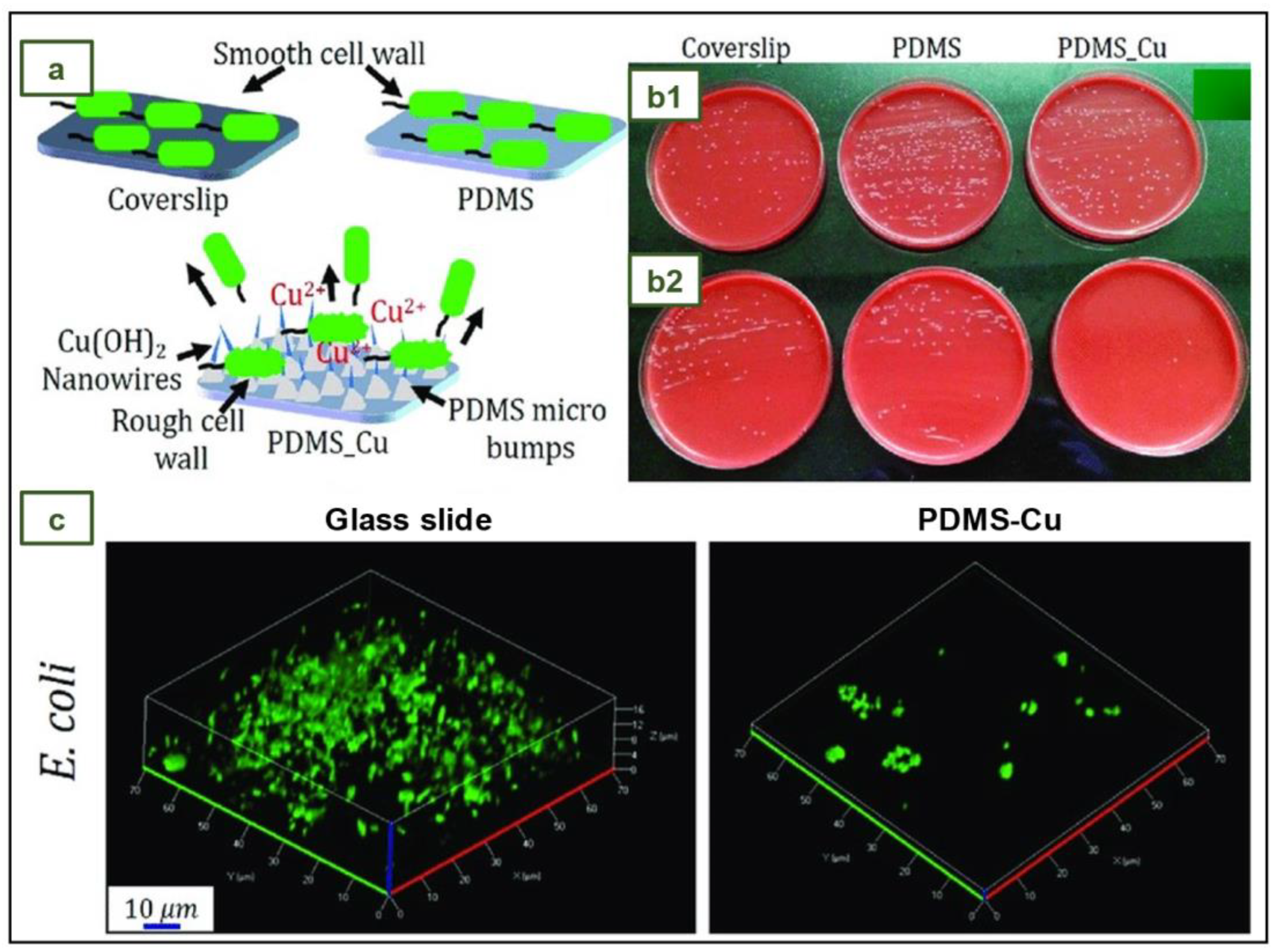 Jfb 14 00349 g019 Jfb 14 00349 g019