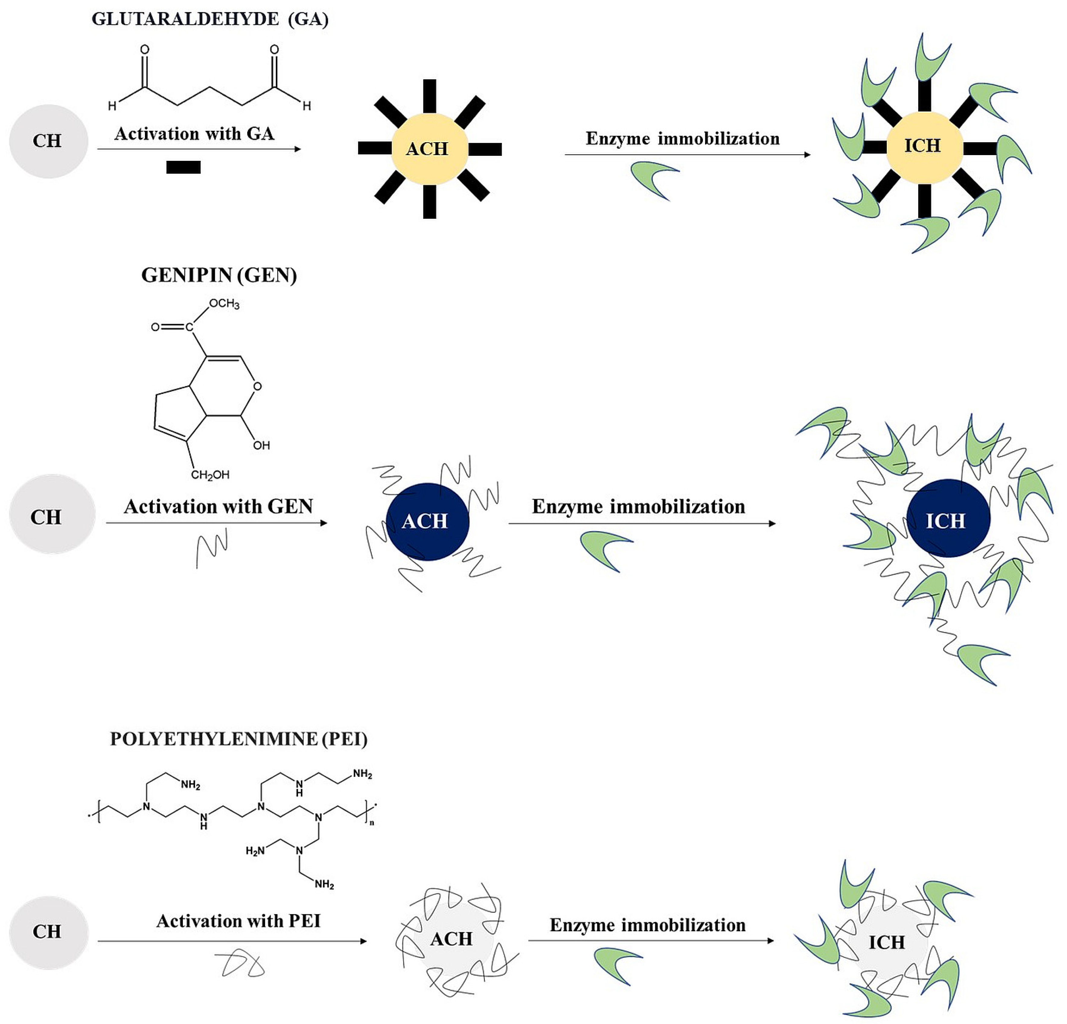 Jfb 14 00383 g001 Jfb 14 00383 g001