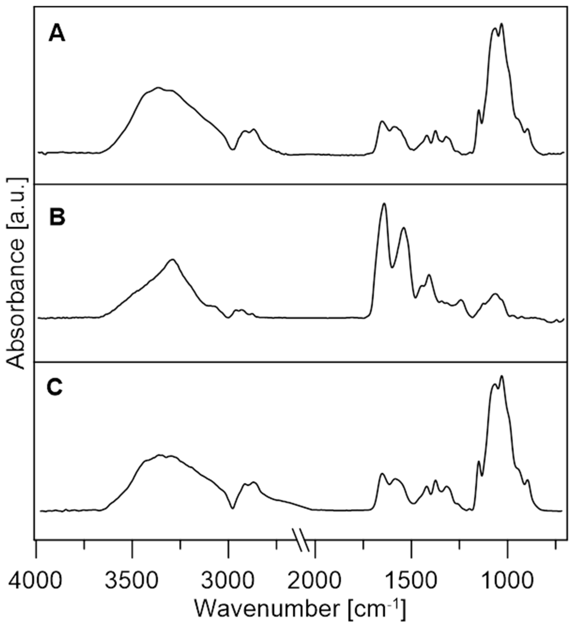Jfb 14 00383 g005 Jfb 14 00383 g005