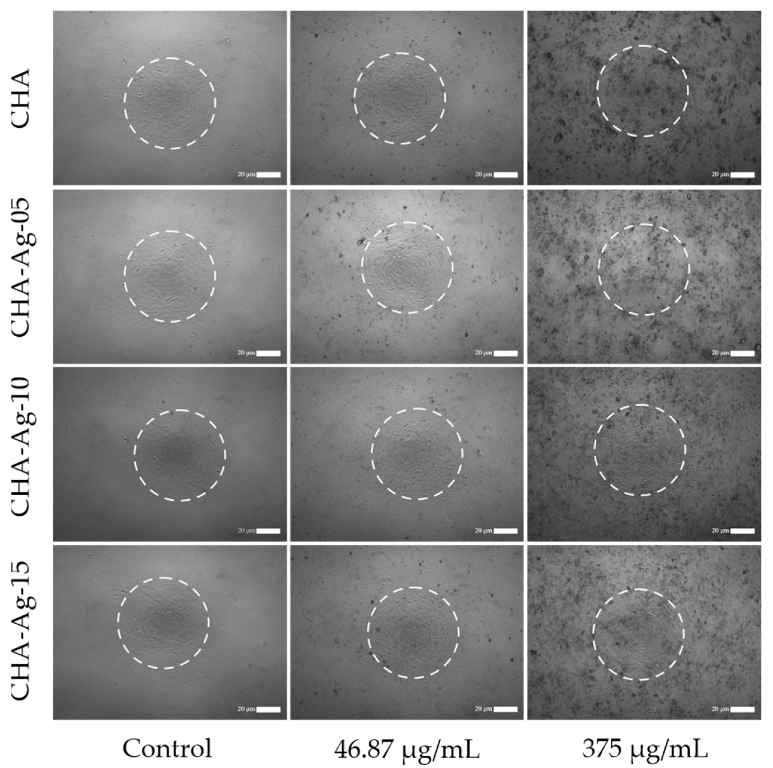 Jfb 14 00385 g007 Jfb 14 00385 g007