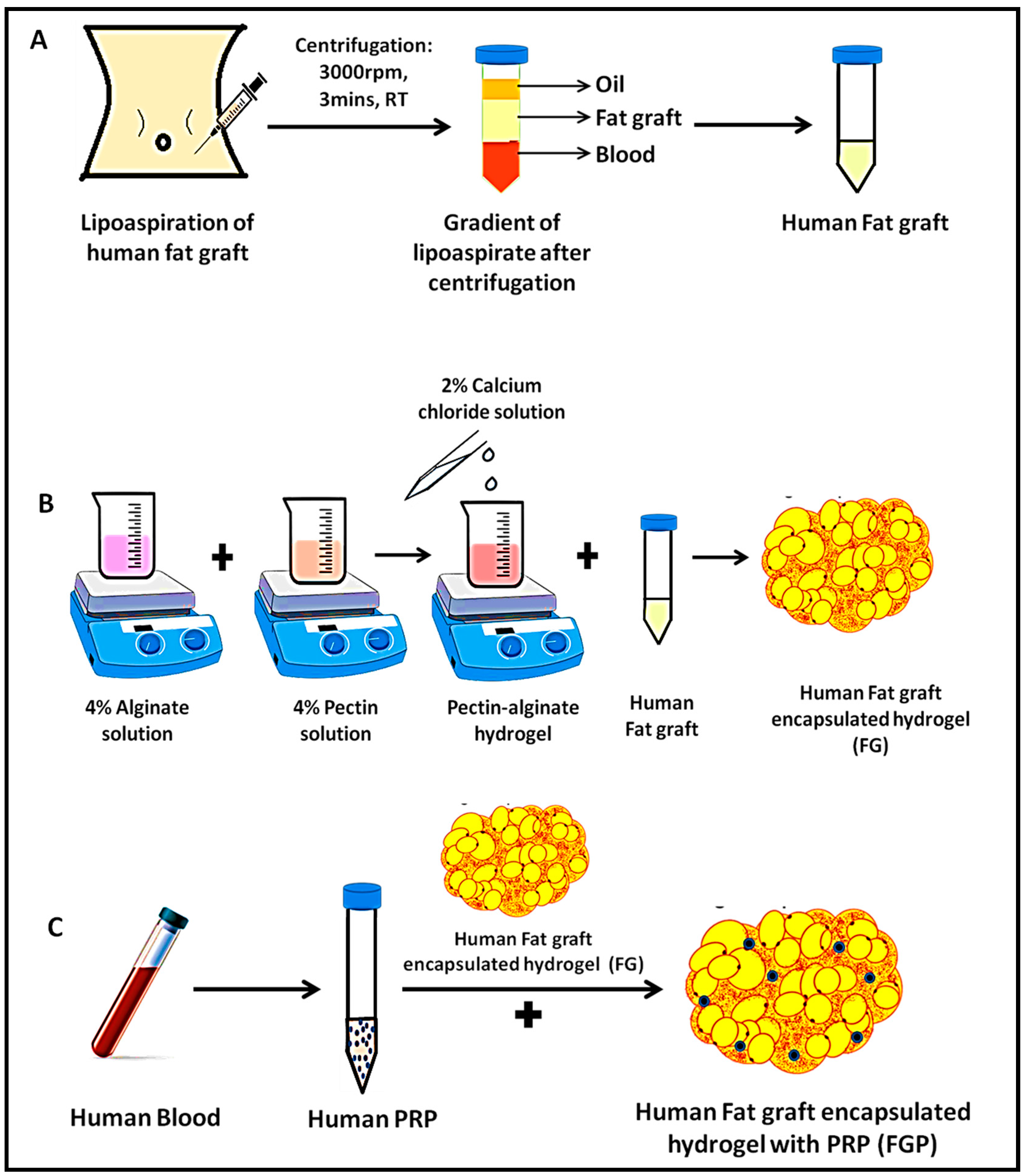 Jfb 14 00409 g002 Jfb 14 00409 g002