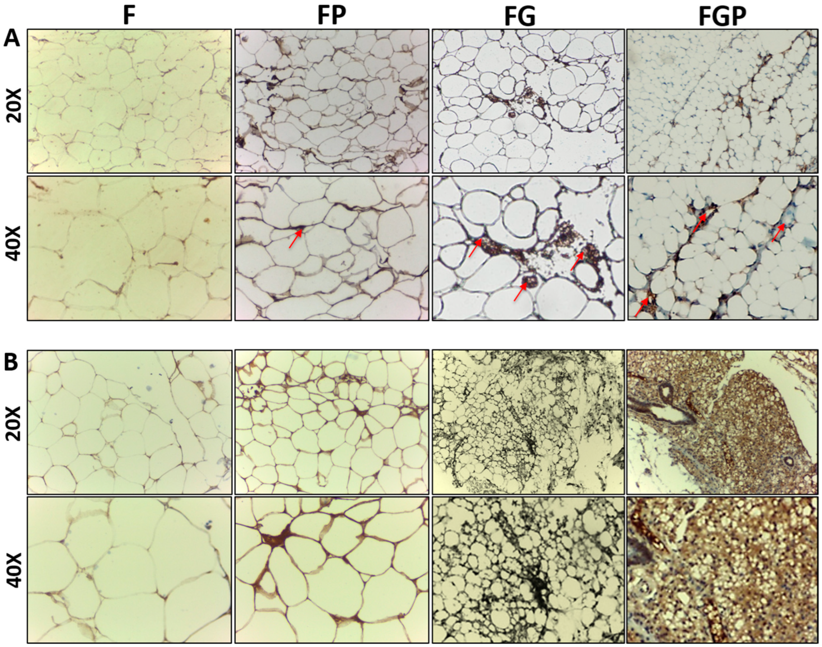 Jfb 14 00409 g008 Jfb 14 00409 g008